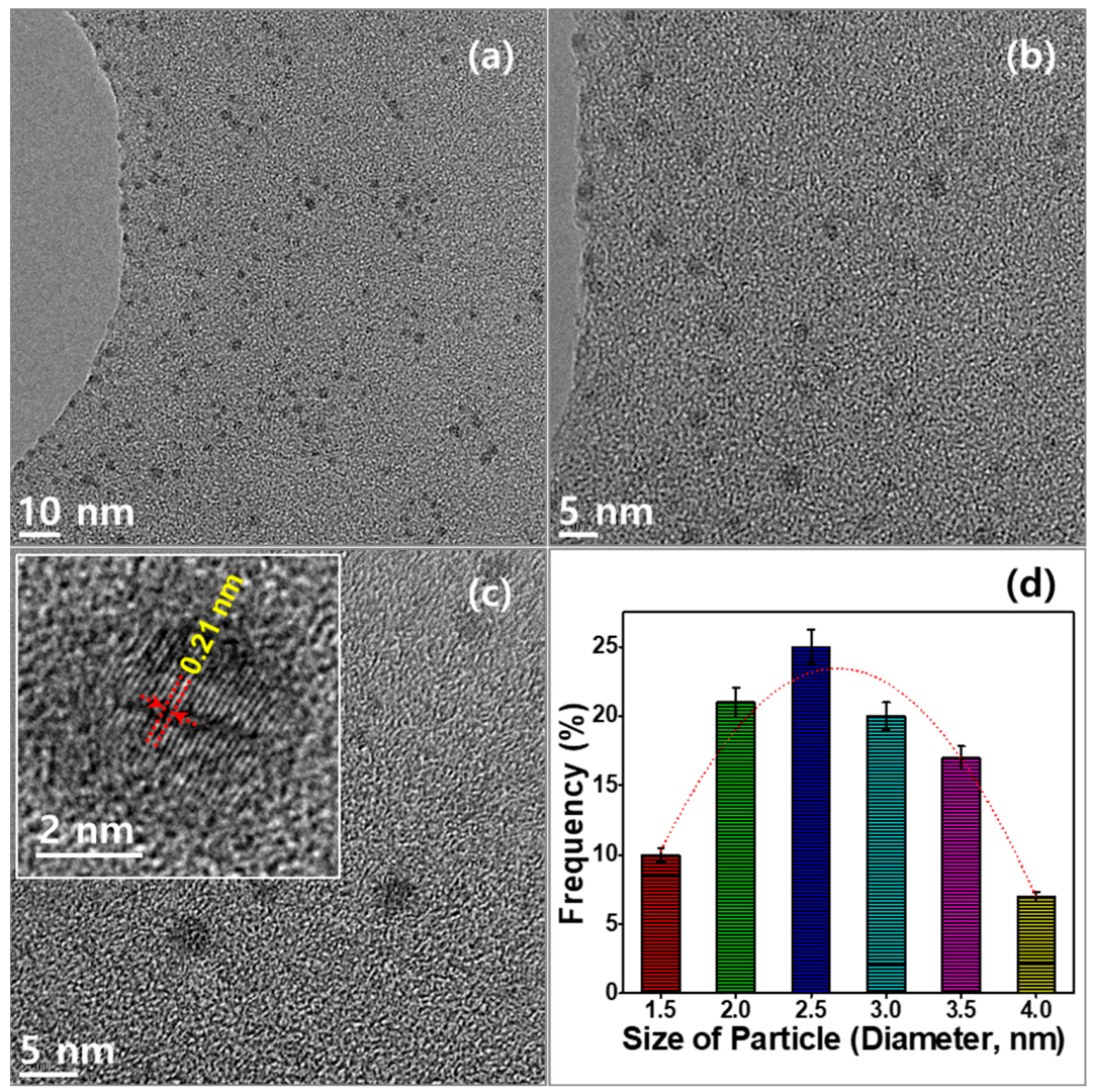 Catalysts 13 00547 g002
