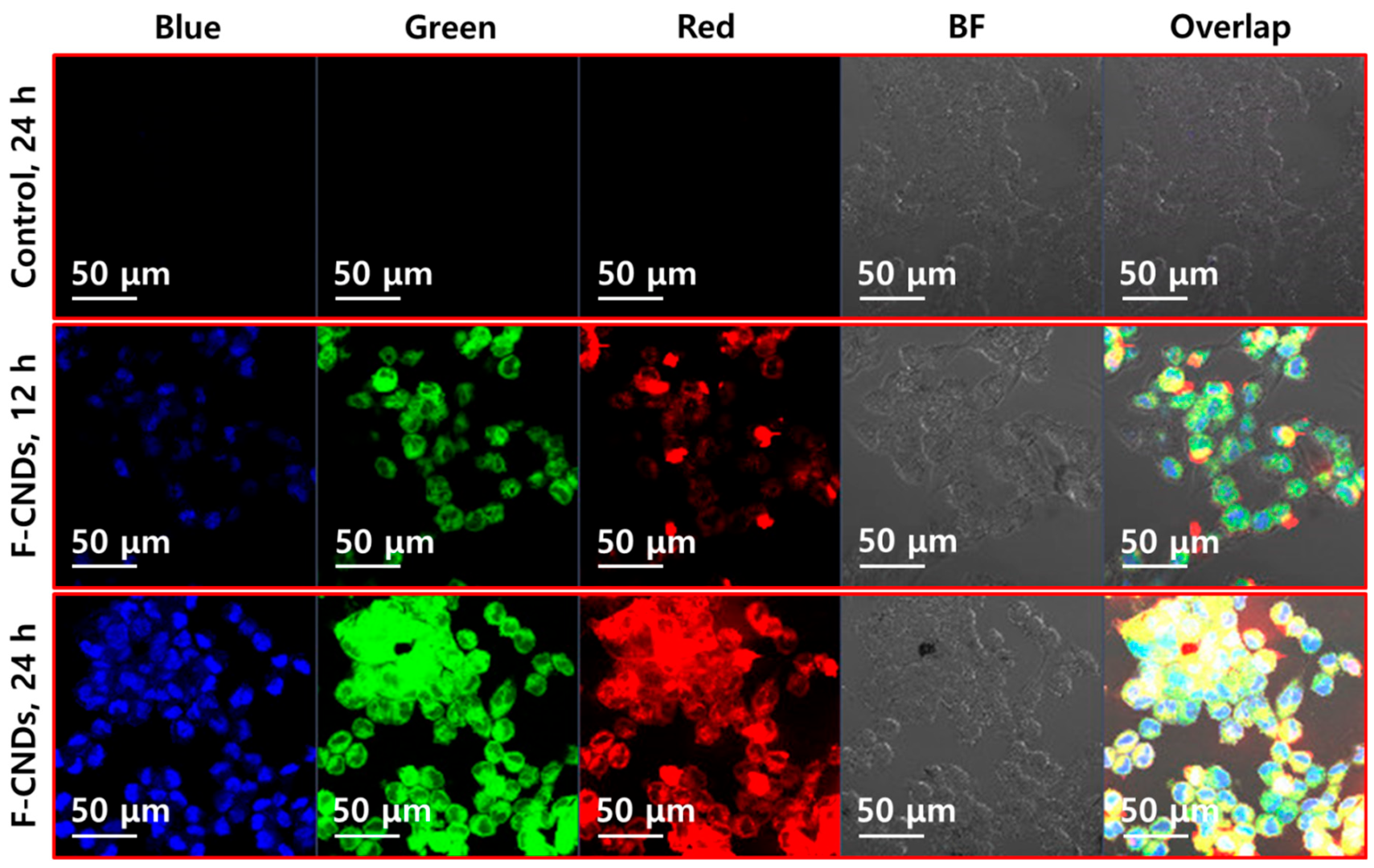 Catalysts 13 00547 g006
