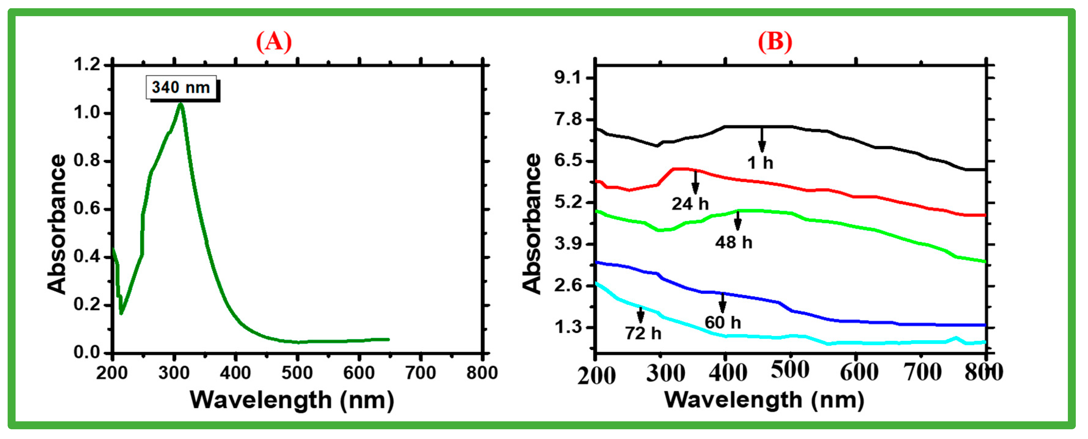 Catalysts 13 00549 g001