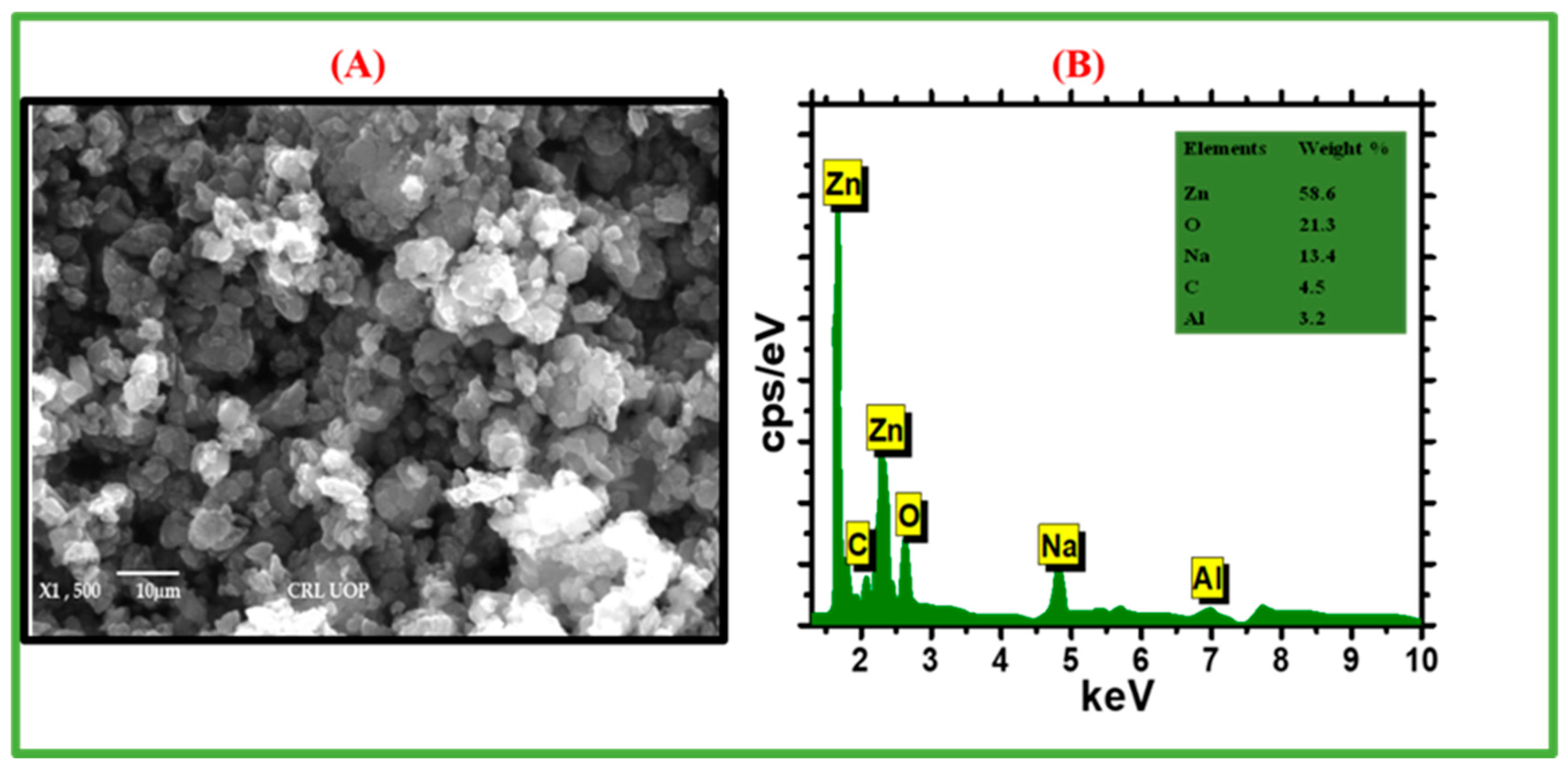 Catalysts 13 00549 g003