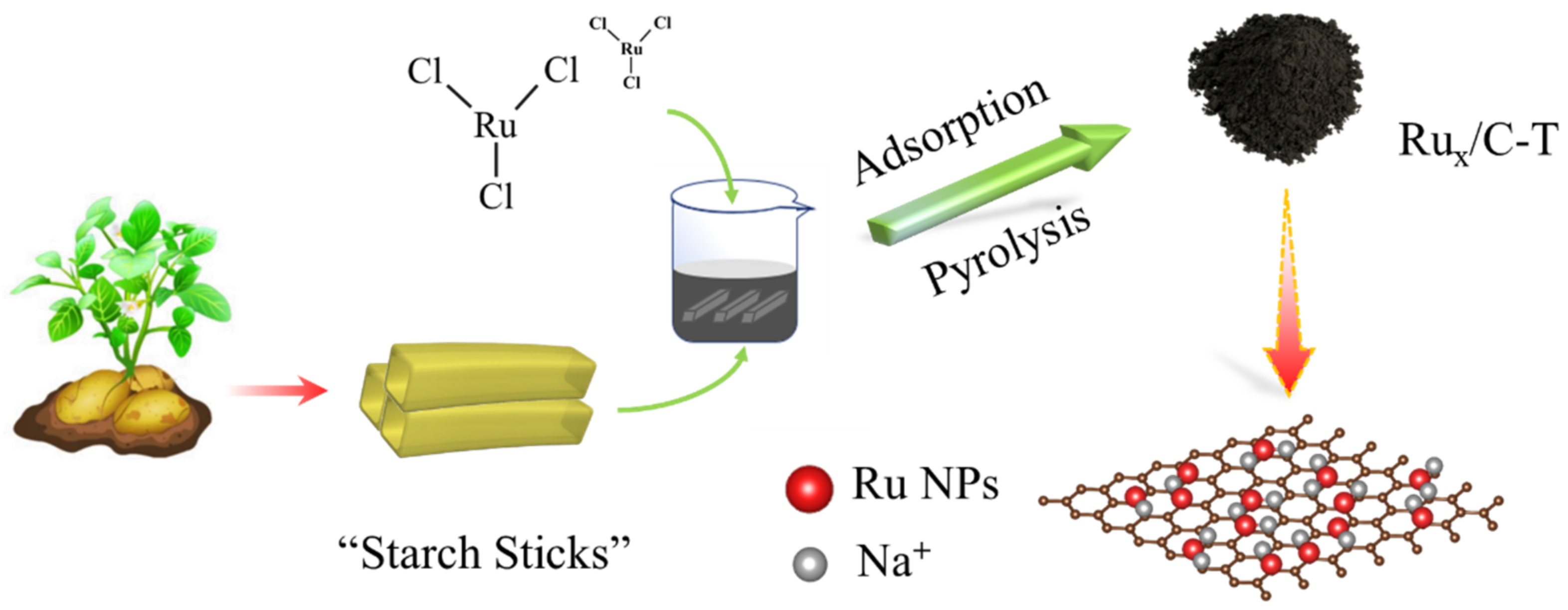 Catalysts 13 00552 g001