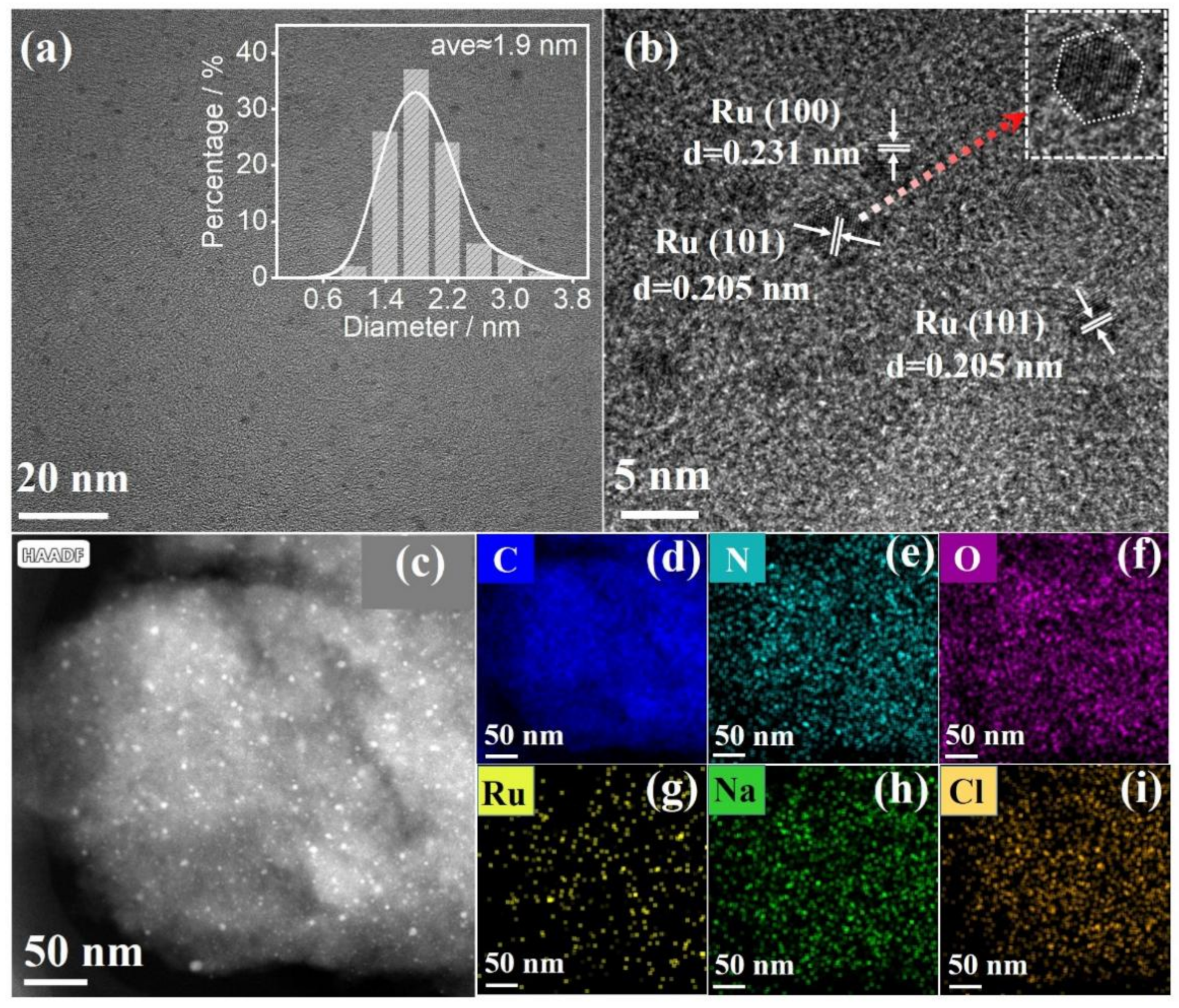 Catalysts 13 00552 g002