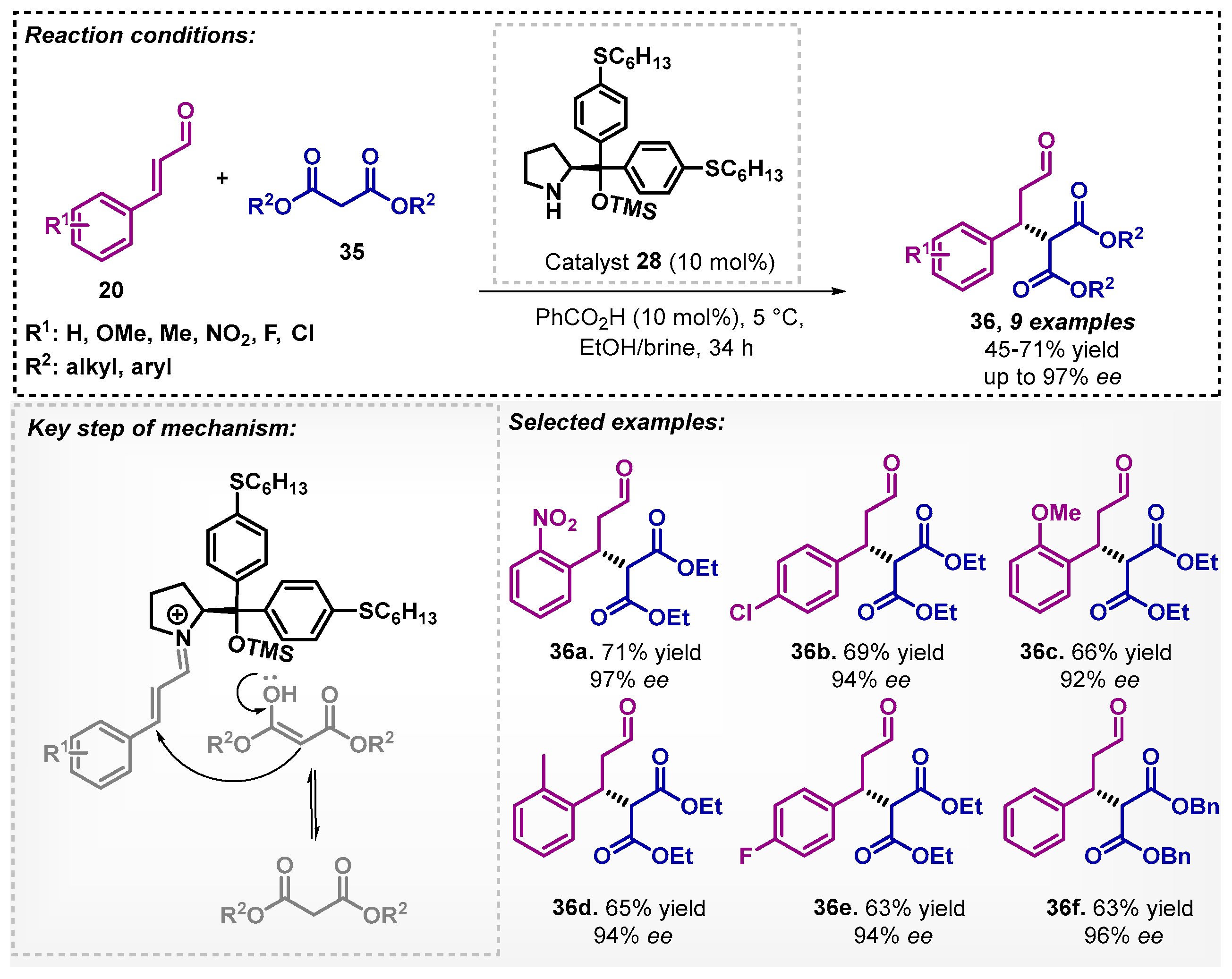 Catalysts 13 00553 sch010 Catalysts 13 00553 sch010