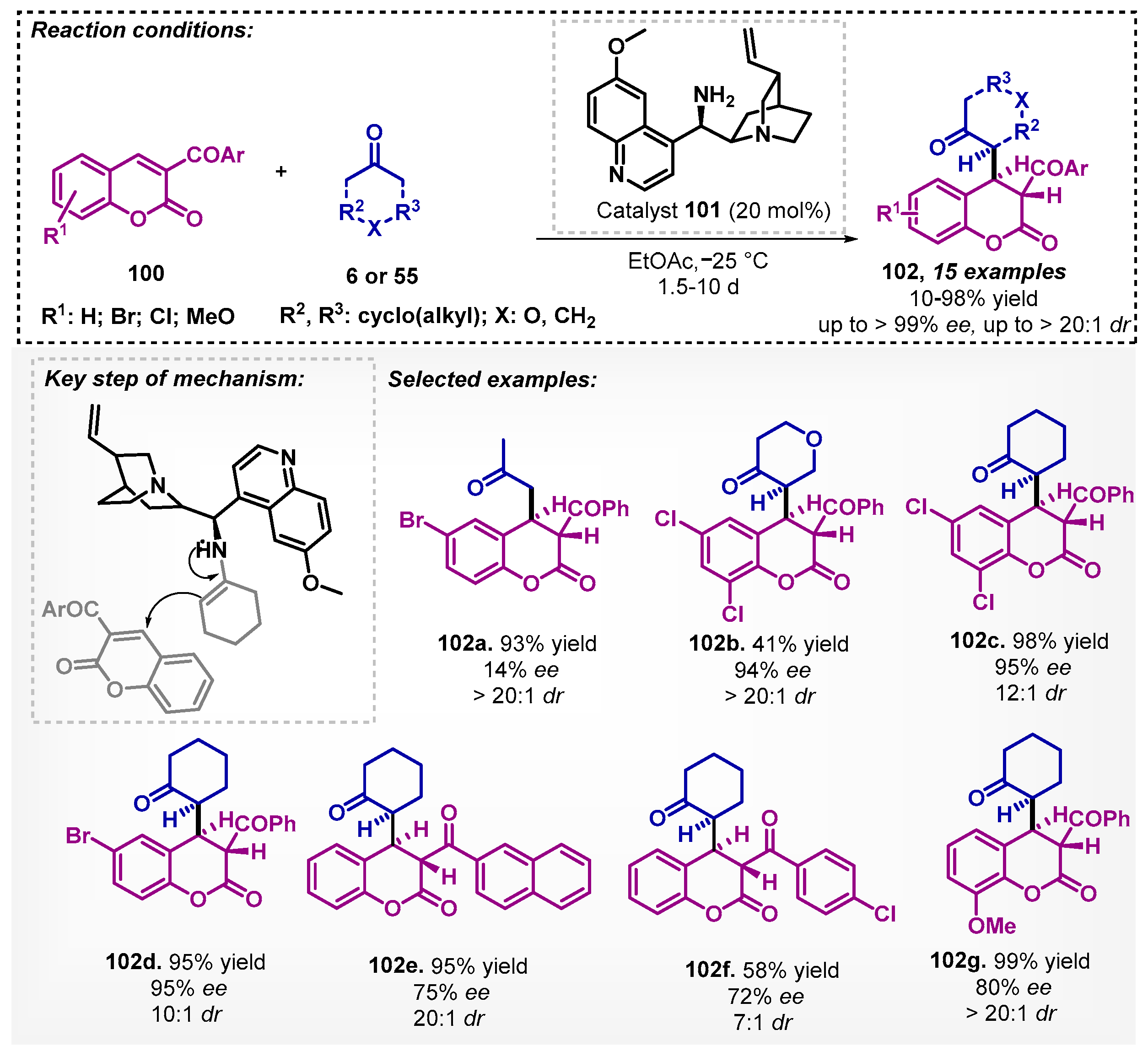 Catalysts 13 00553 sch035 Catalysts 13 00553 sch035