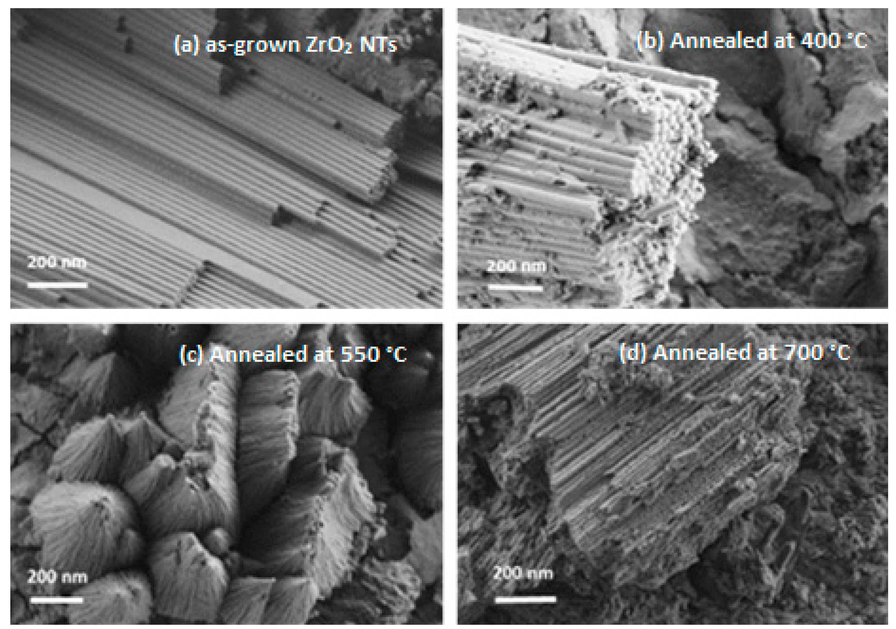 Catalysts 13 00558 g001