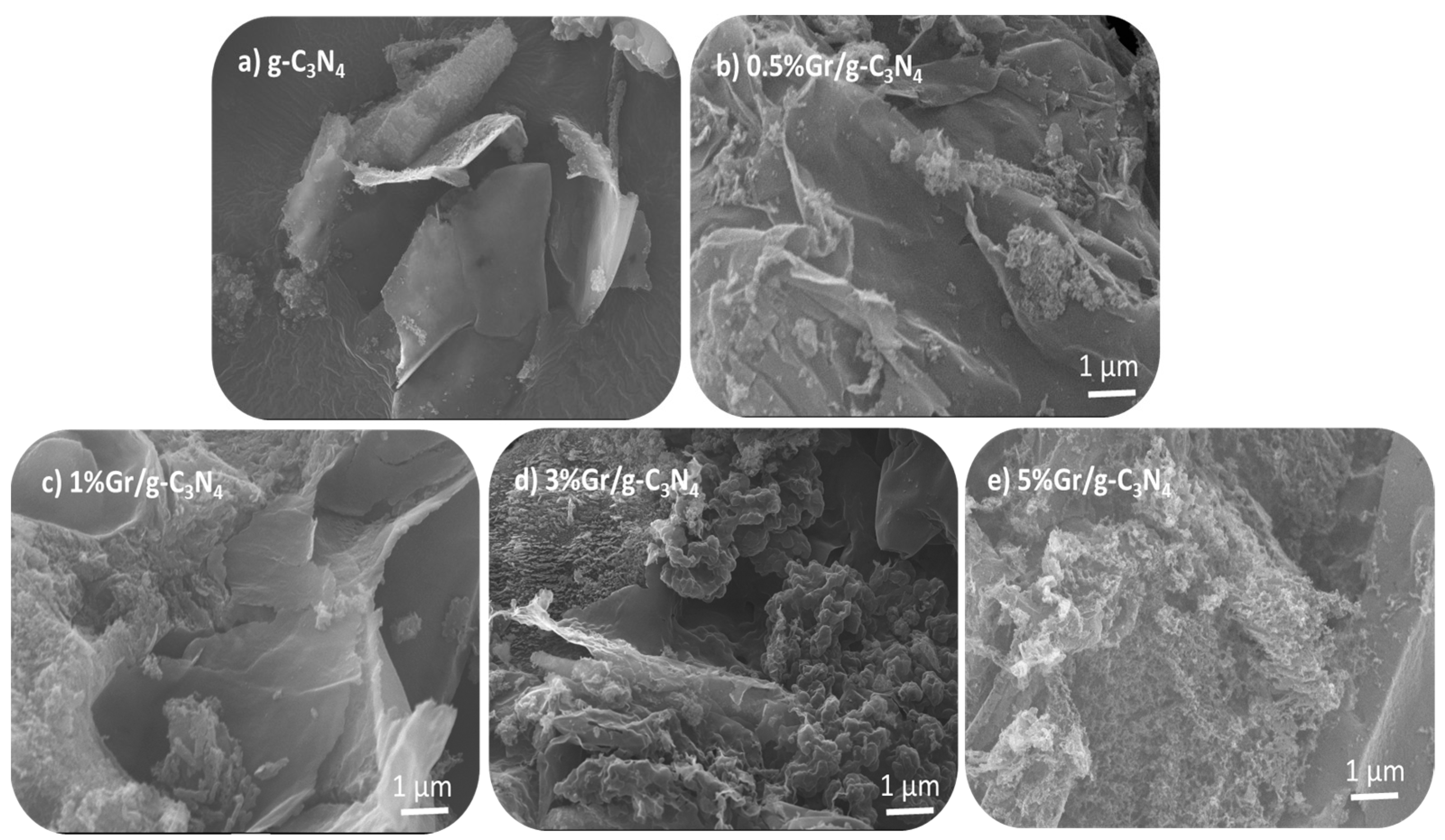 Catalysts 13 00560 g002 Catalysts 13 00560 g002