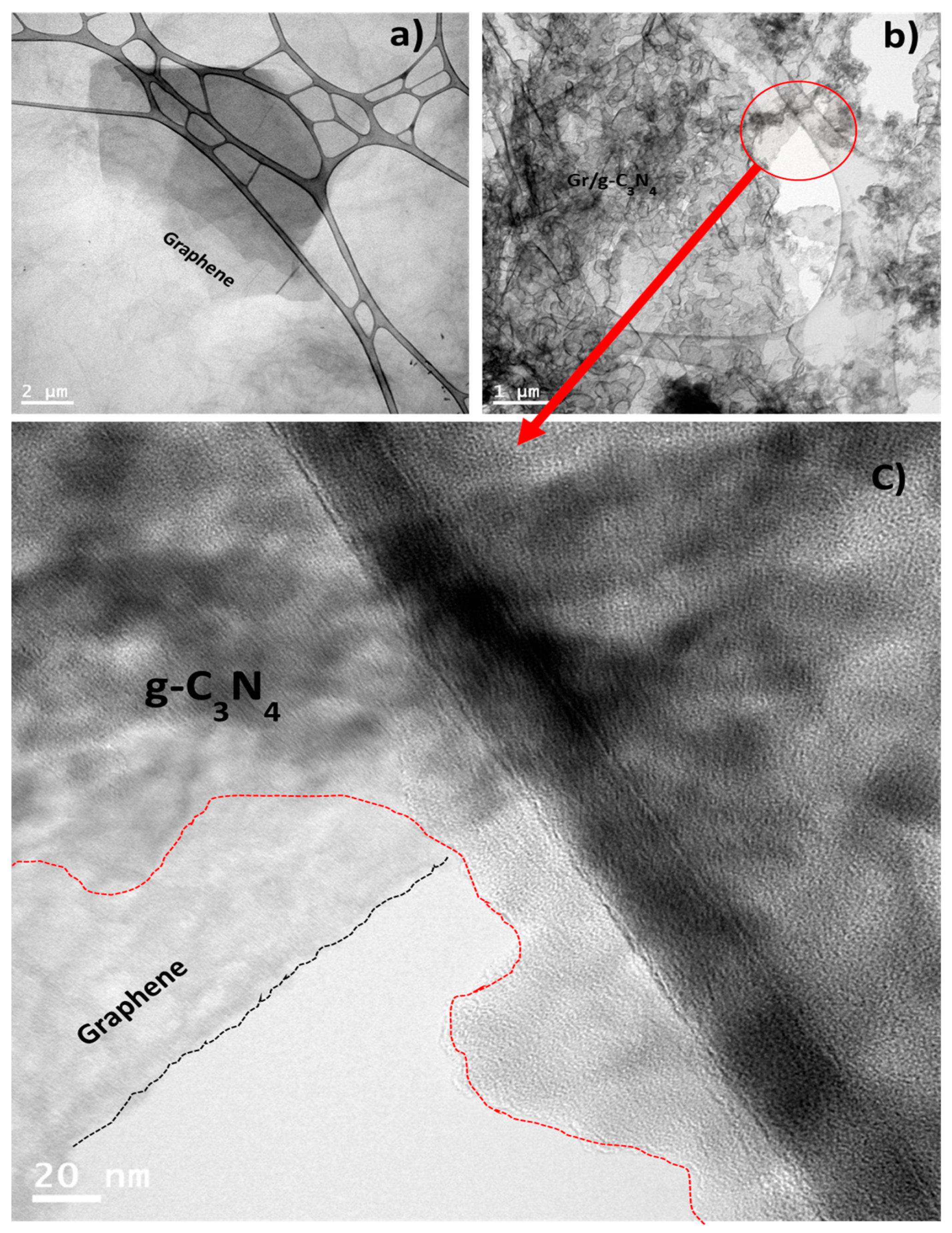 Catalysts 13 00560 g004 Catalysts 13 00560 g004