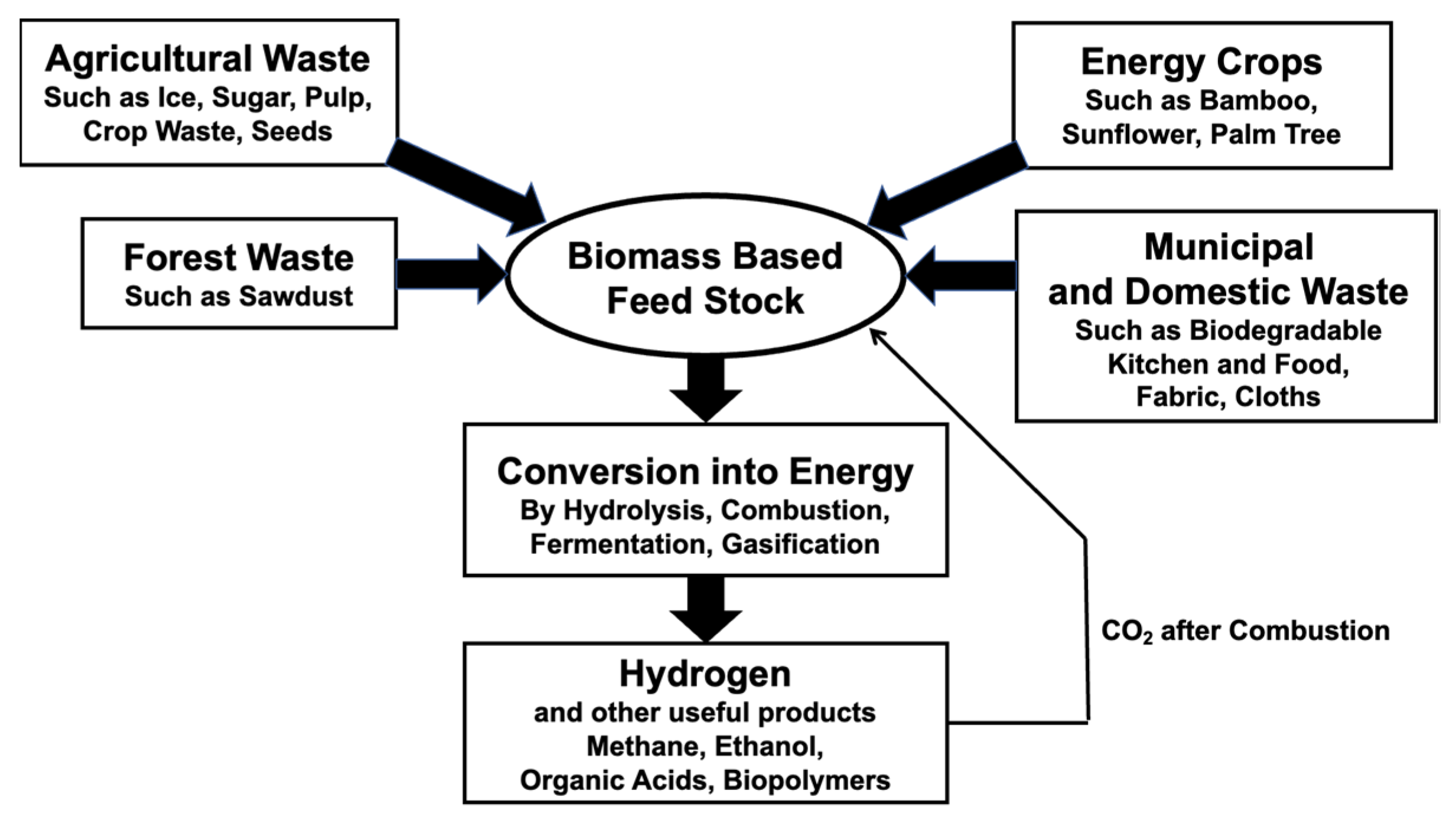 Catalysts 13 00562 g007 Catalysts 13 00562 g007