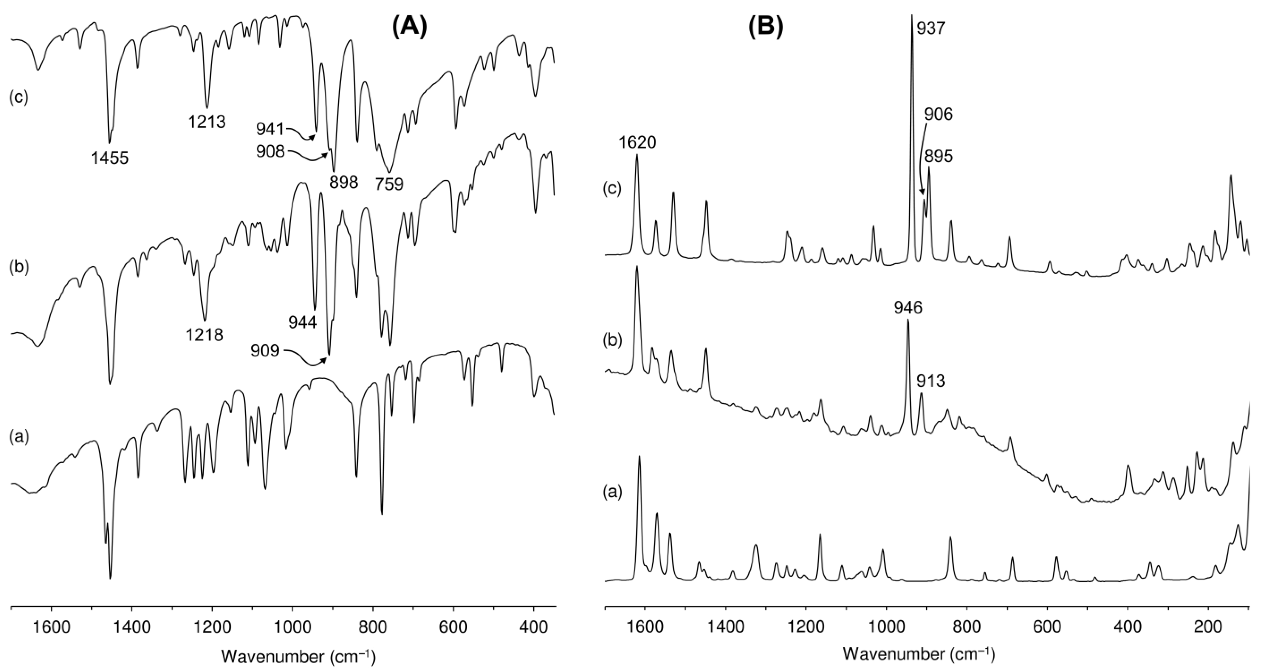 Catalysts 13 00565 g004
