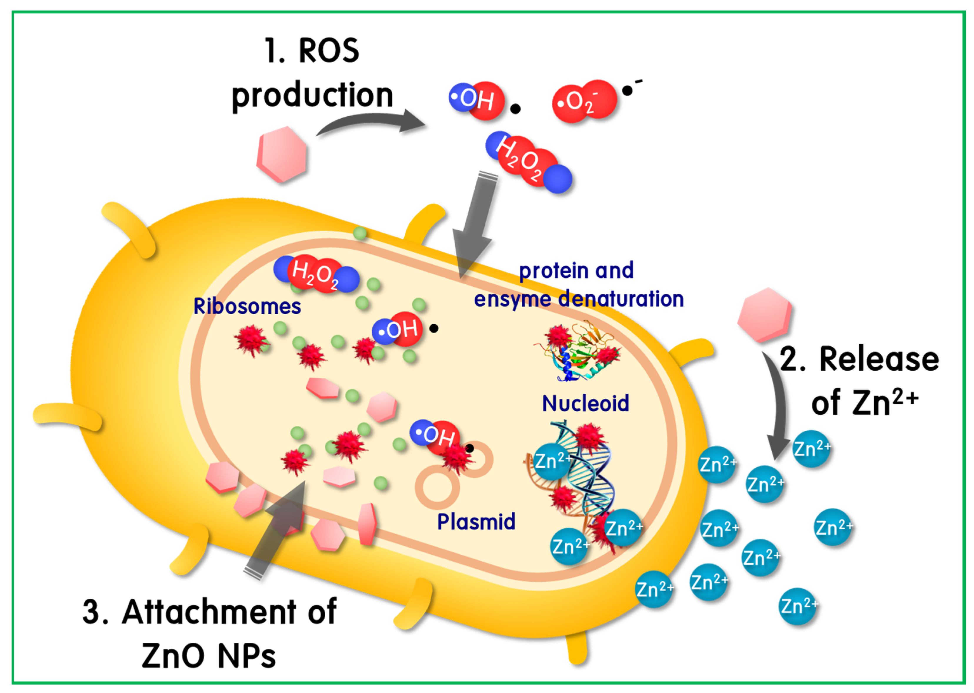 Catalysts 13 00567 sch001