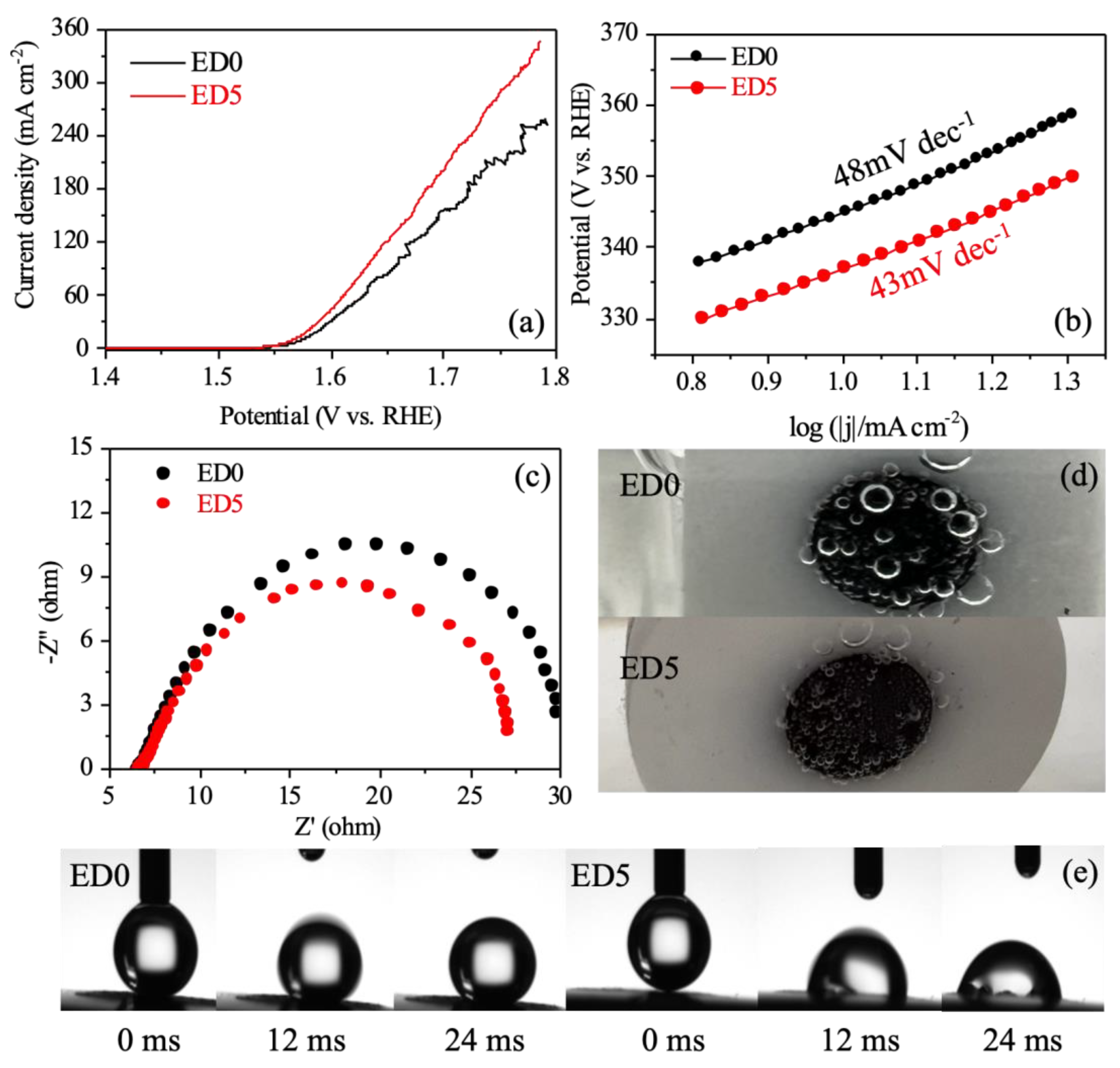 Catalysts 13 00569 g004