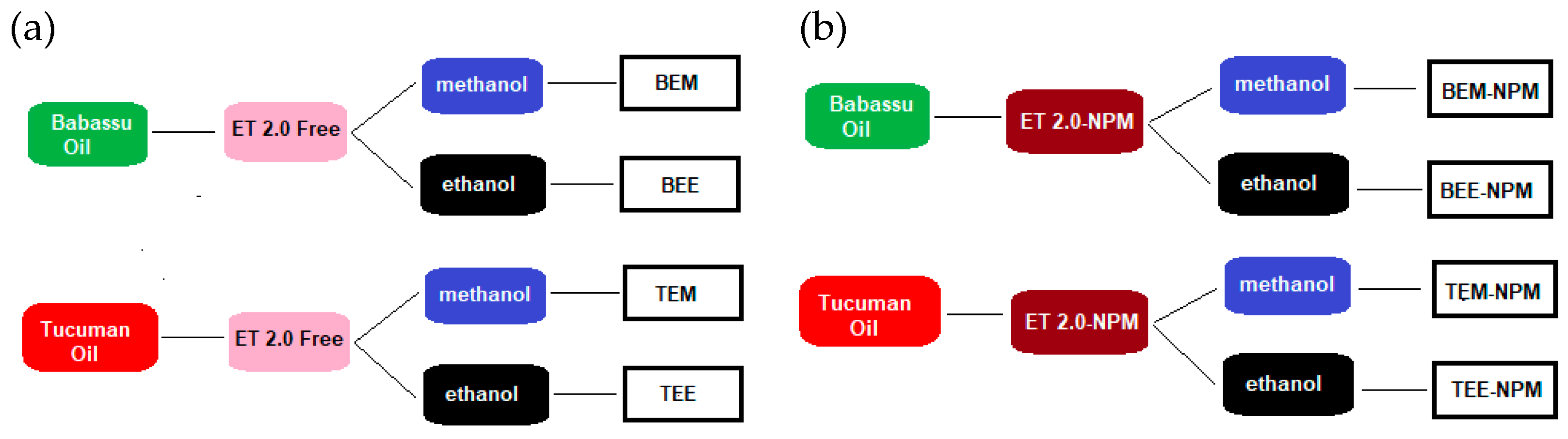 Catalysts 13 00571 g001