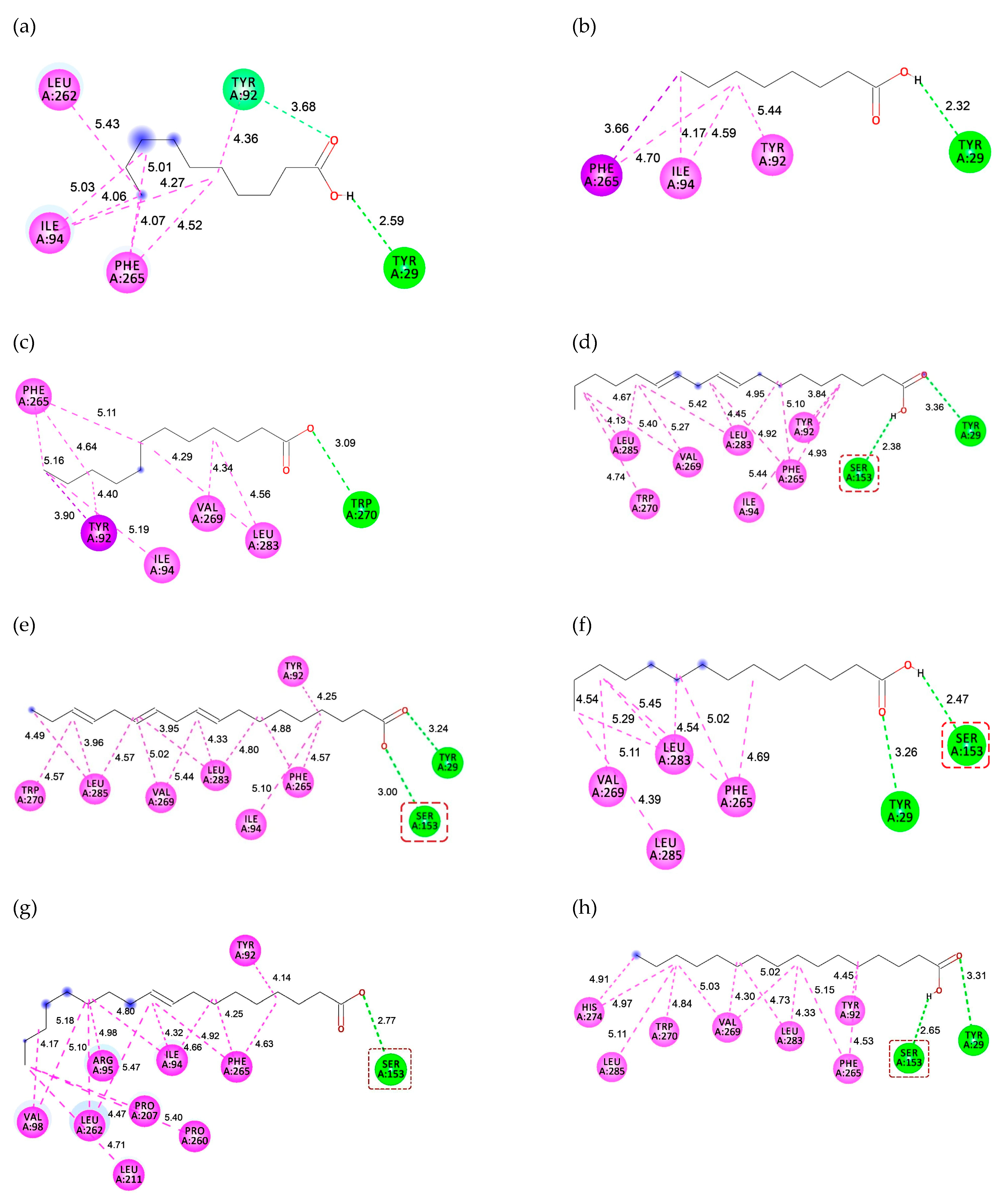 Catalysts 13 00571 g005a
