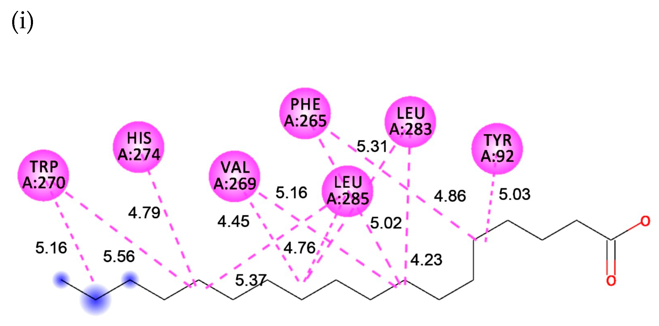 Catalysts 13 00571 g005b