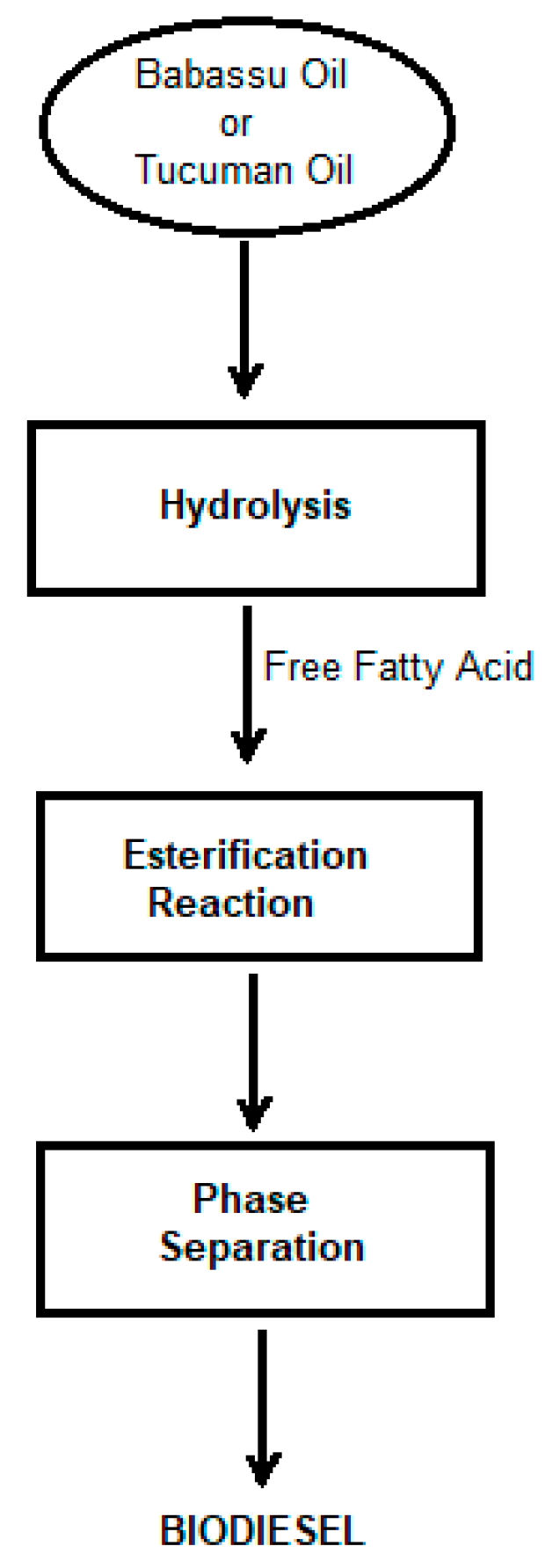 Catalysts 13 00571 g008