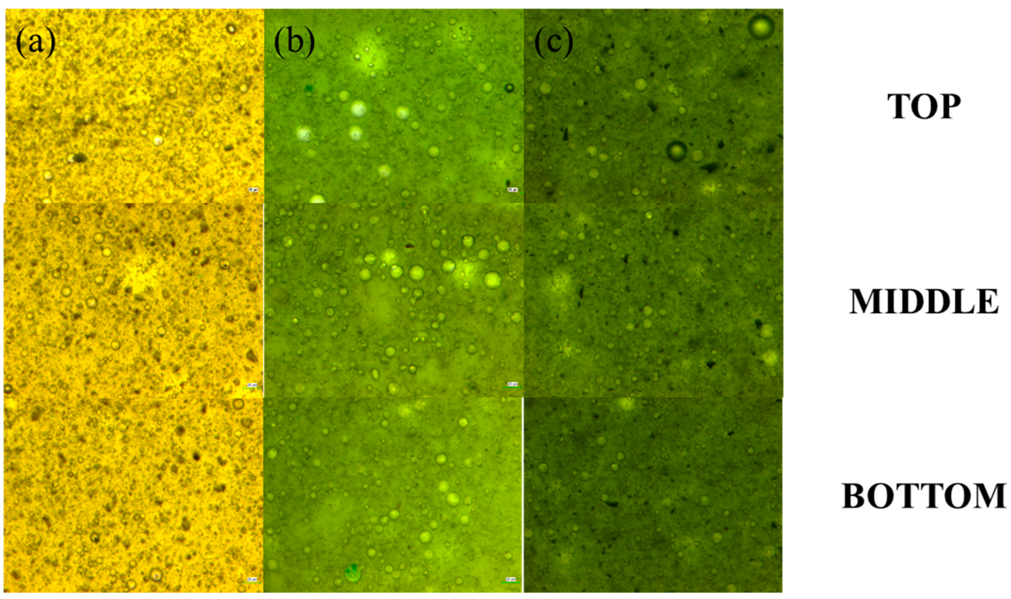 Catalysts 13 00573 g004 Catalysts 13 00573 g004