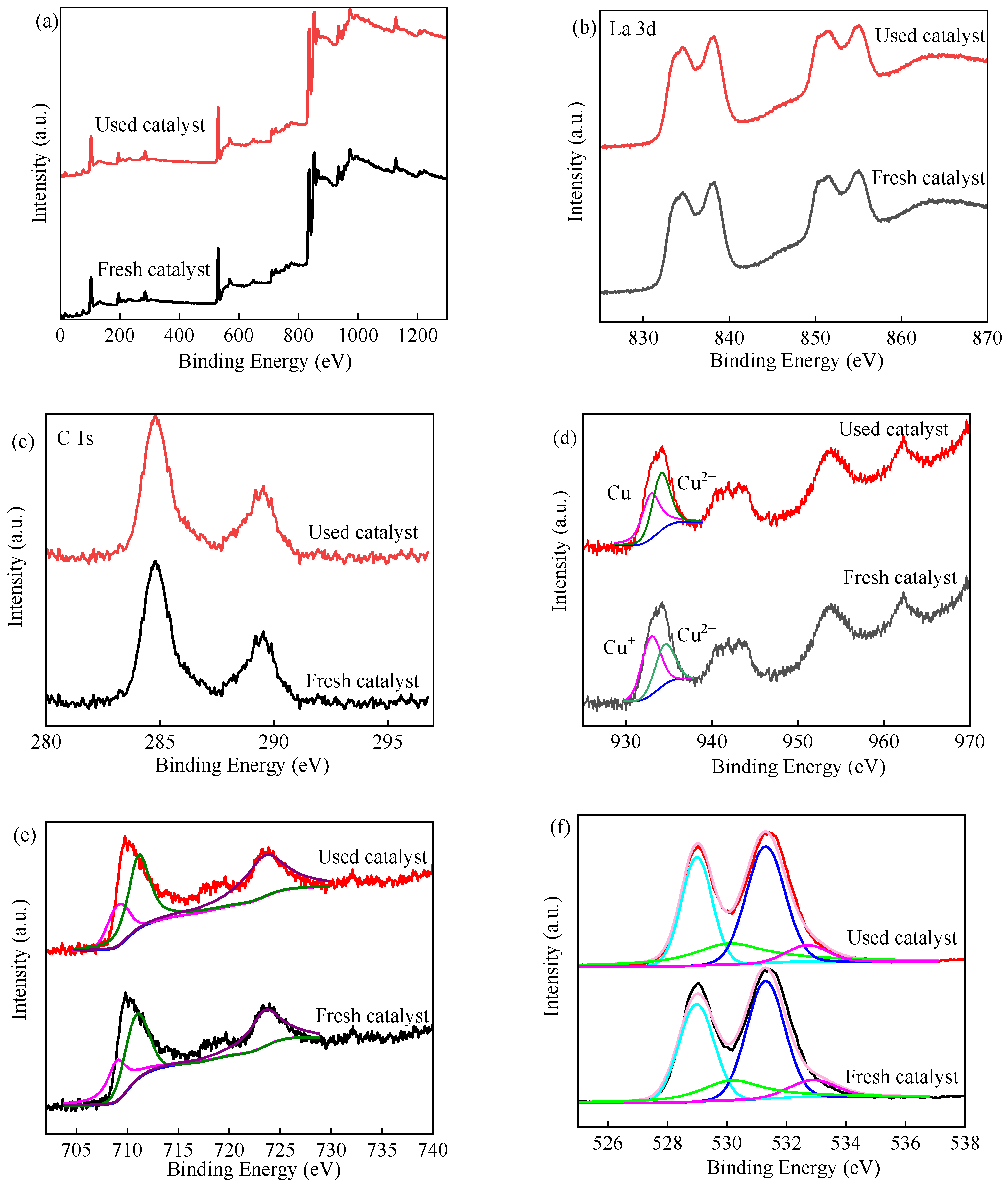 Catalysts 13 00575 g003