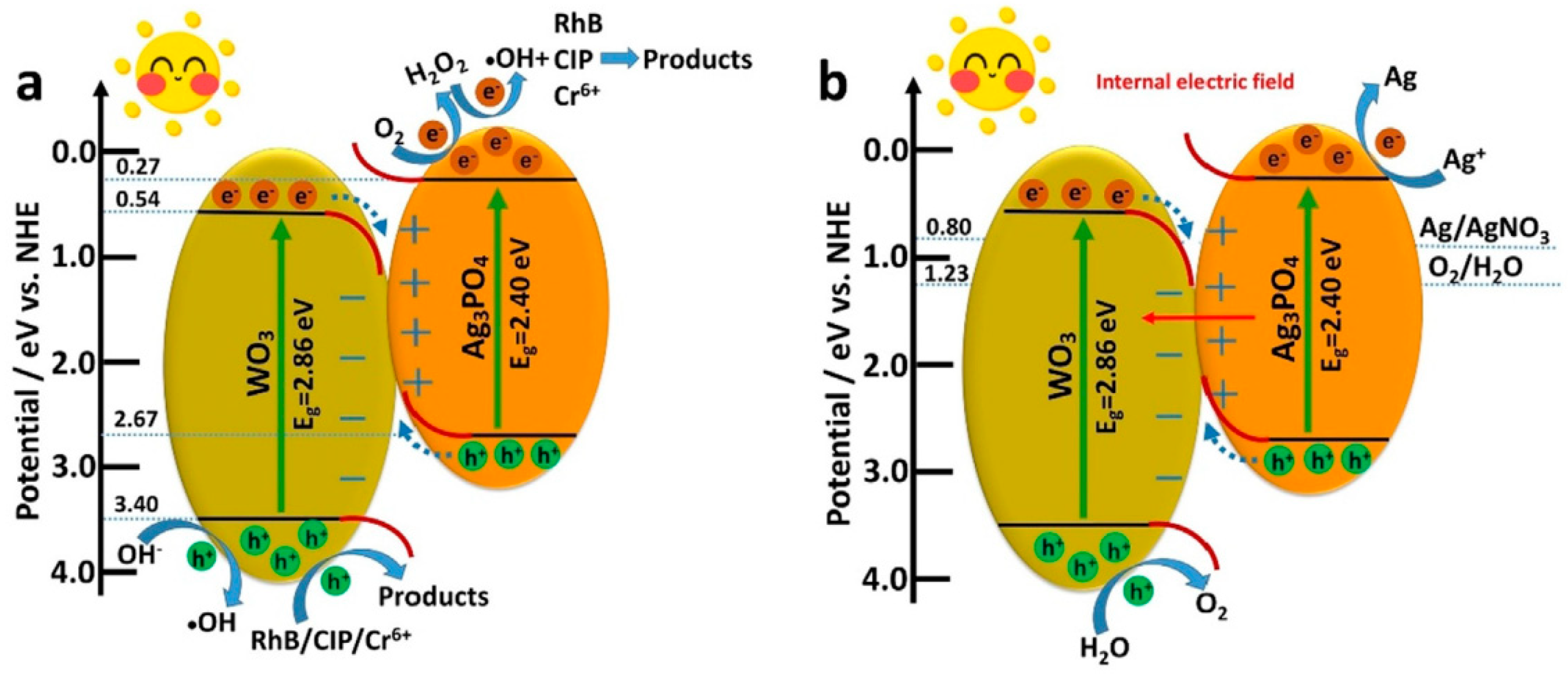 Catalysts 13 00579 g003