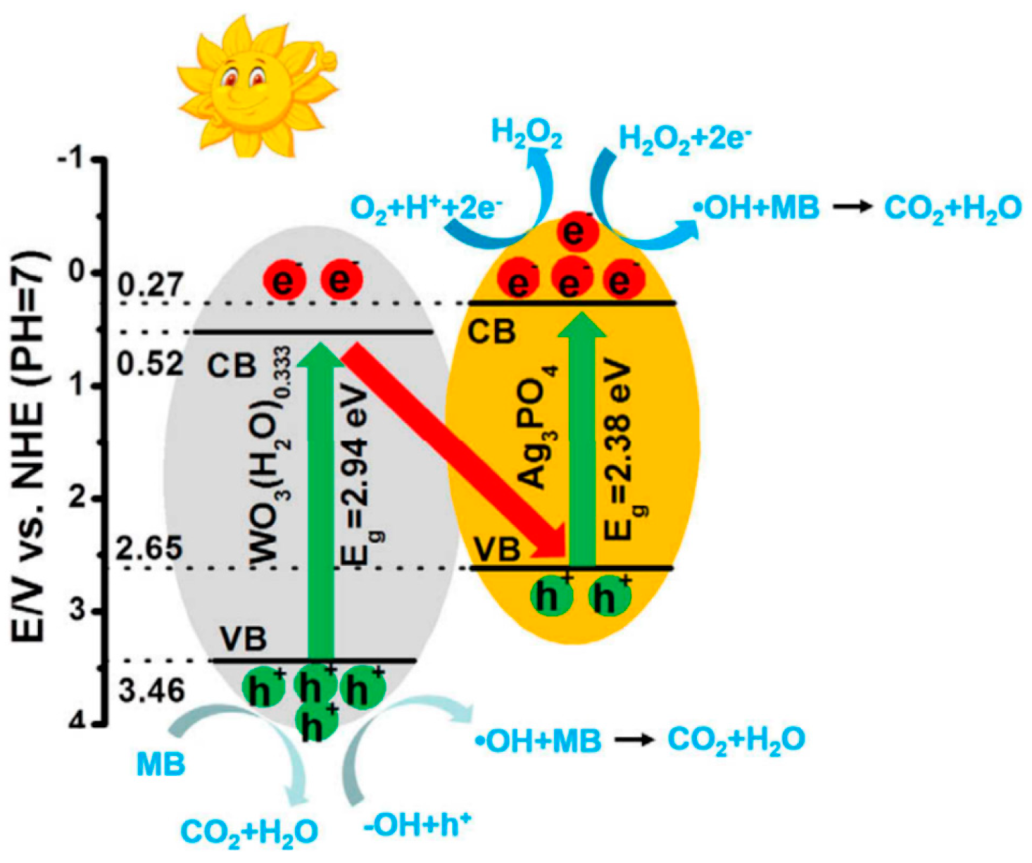 Catalysts 13 00579 g005