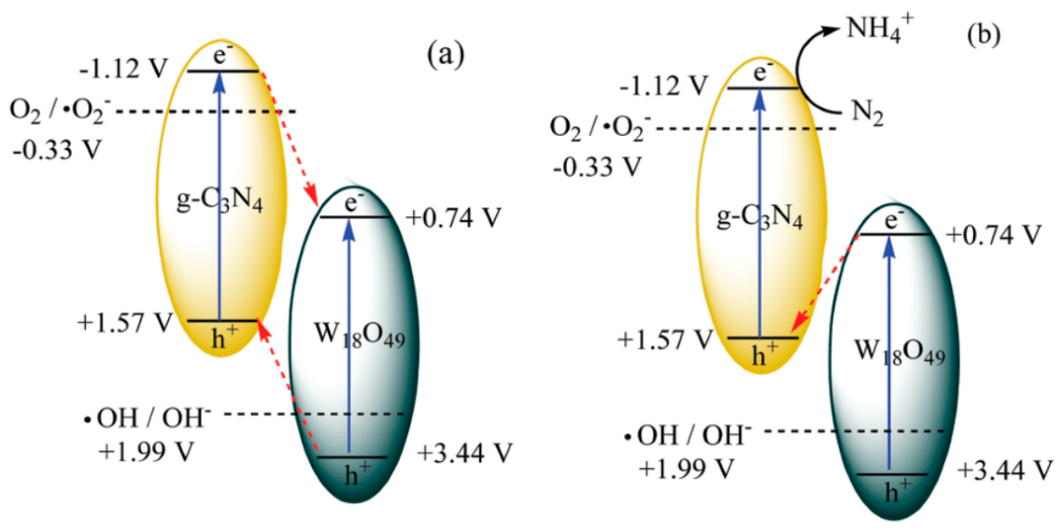 Catalysts 13 00579 g009