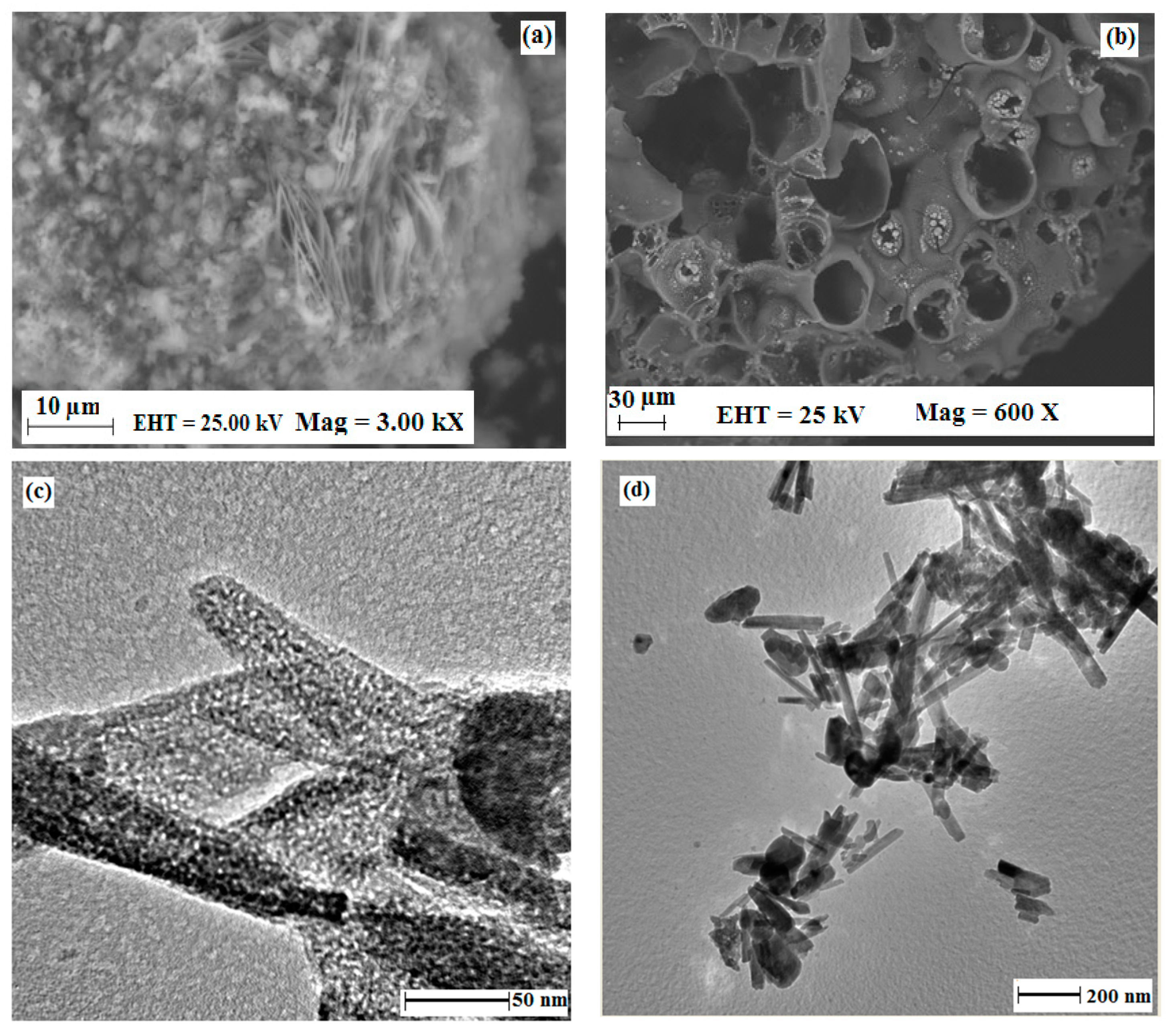 Catalysts 13 00584 g005 Catalysts 13 00584 g005