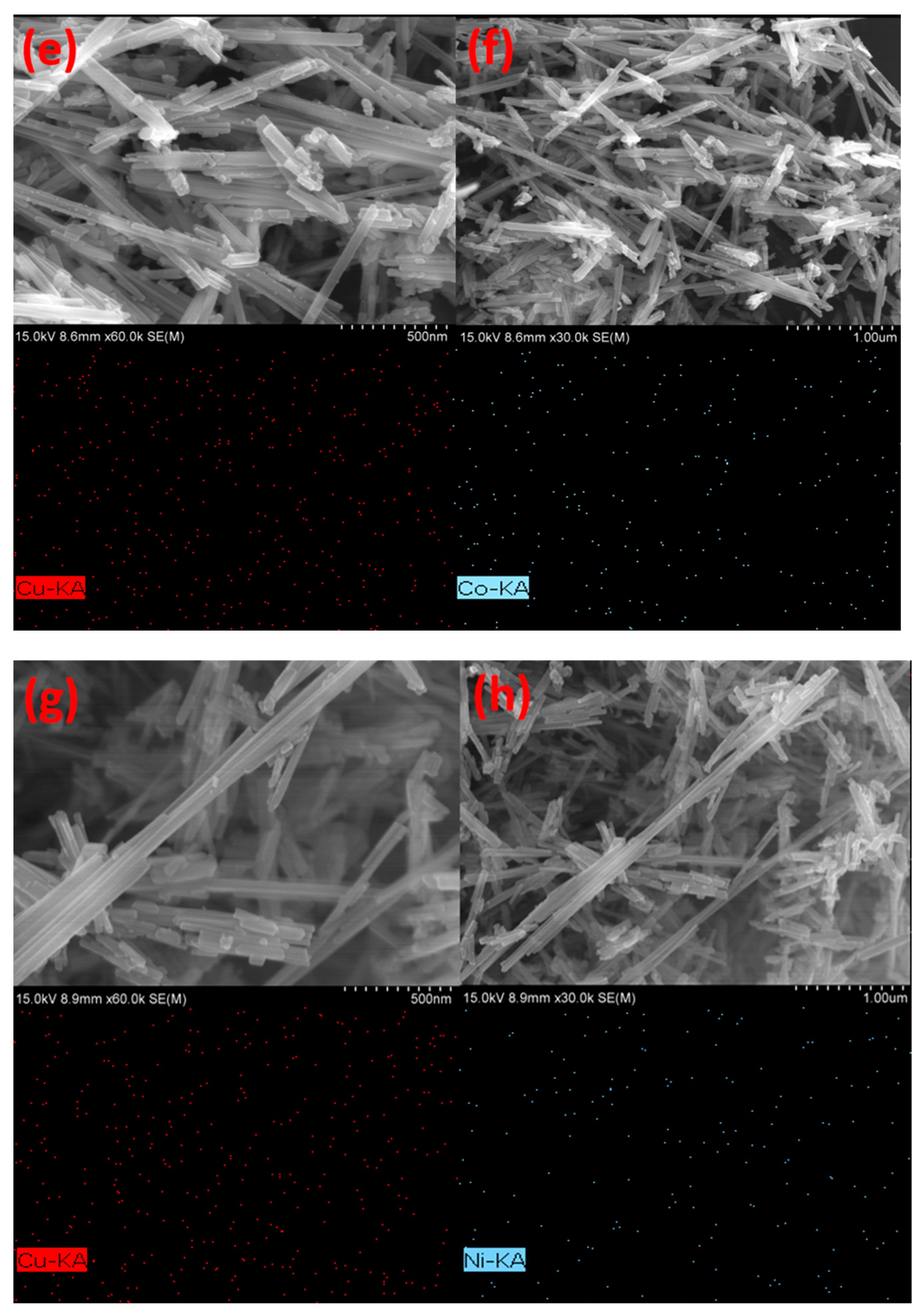 Catalysts 13 00588 g002b