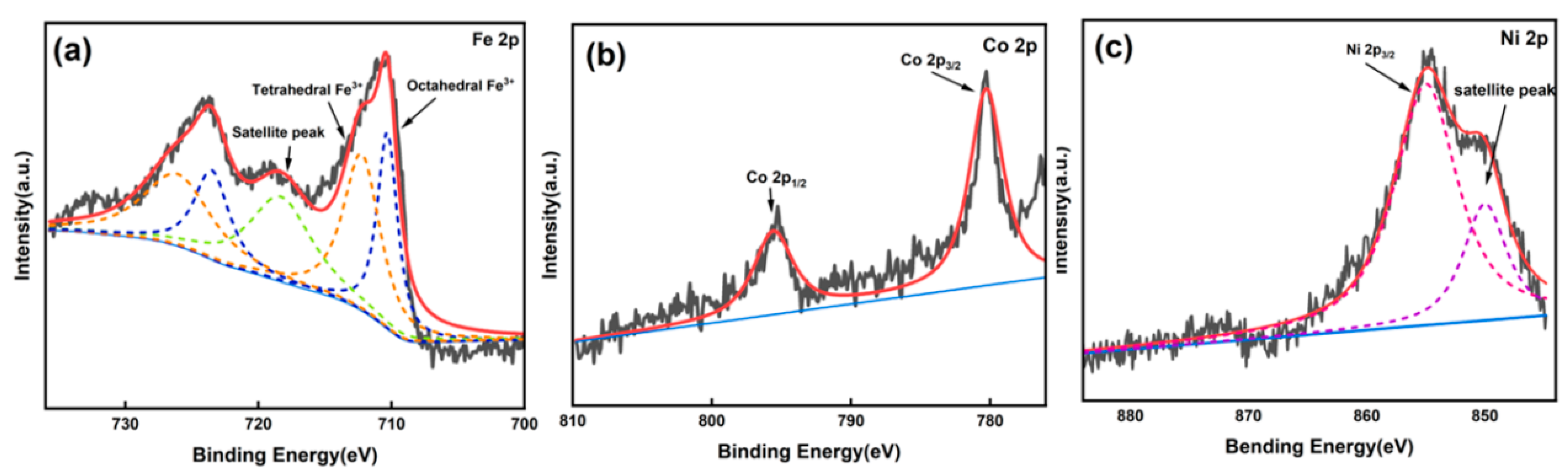 Catalysts 13 00588 g005