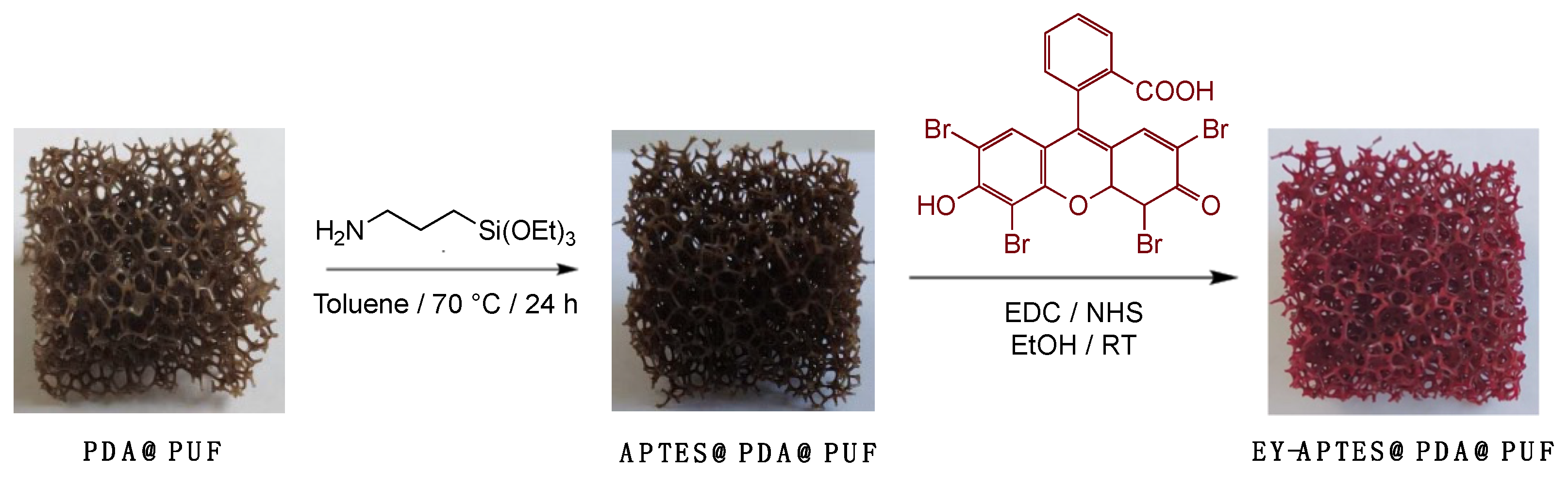 Catalysts 13 00589 g001 Catalysts 13 00589 g001