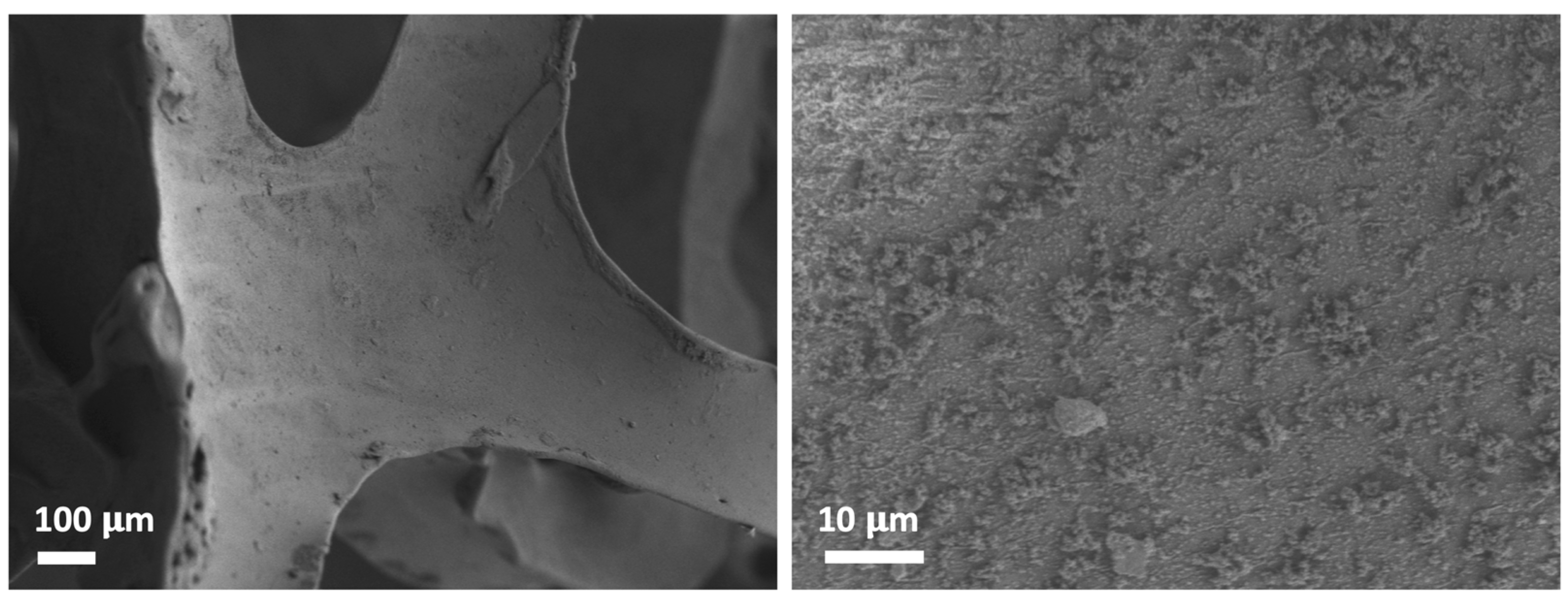Catalysts 13 00589 g003 Catalysts 13 00589 g003