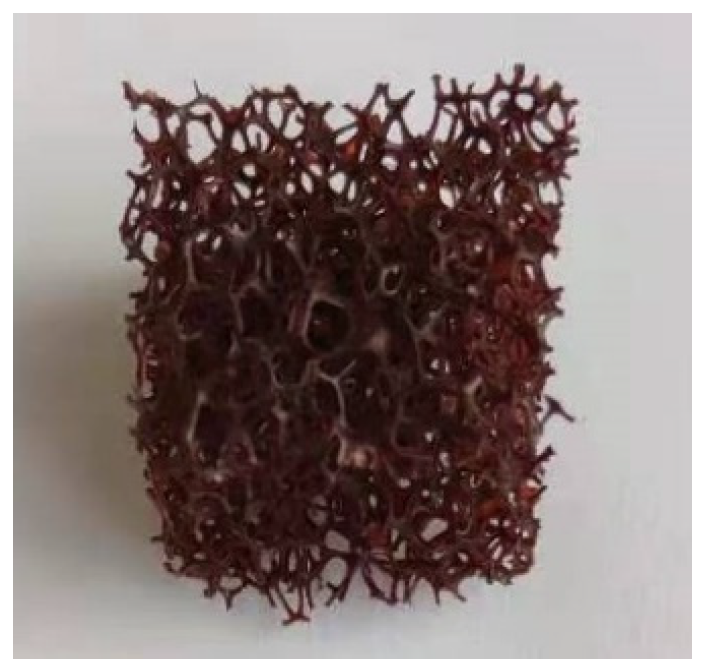 Catalysts 13 00589 g005 Catalysts 13 00589 g005