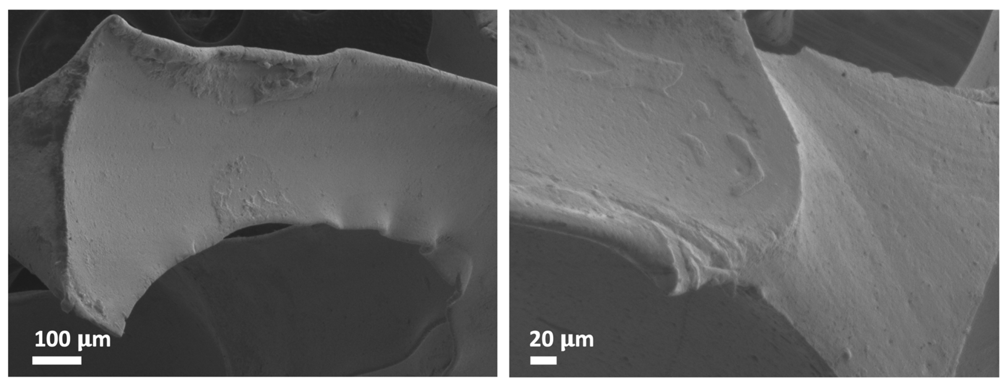 Catalysts 13 00589 g006 Catalysts 13 00589 g006