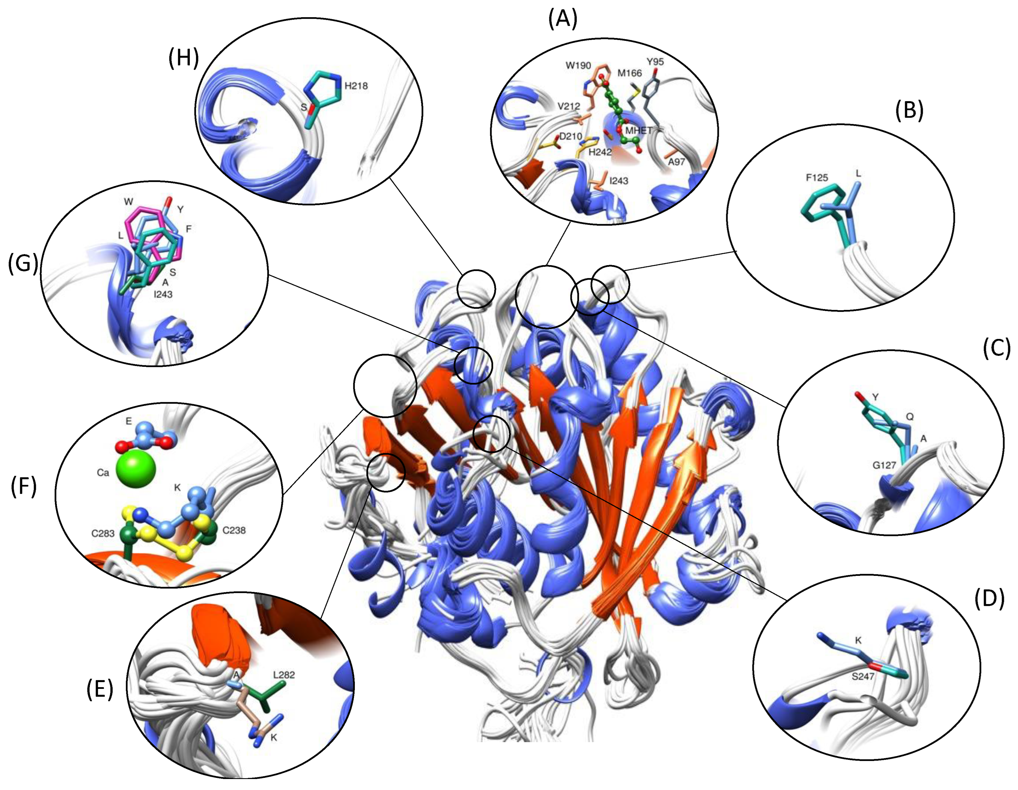 Catalysts 13 00591 g003