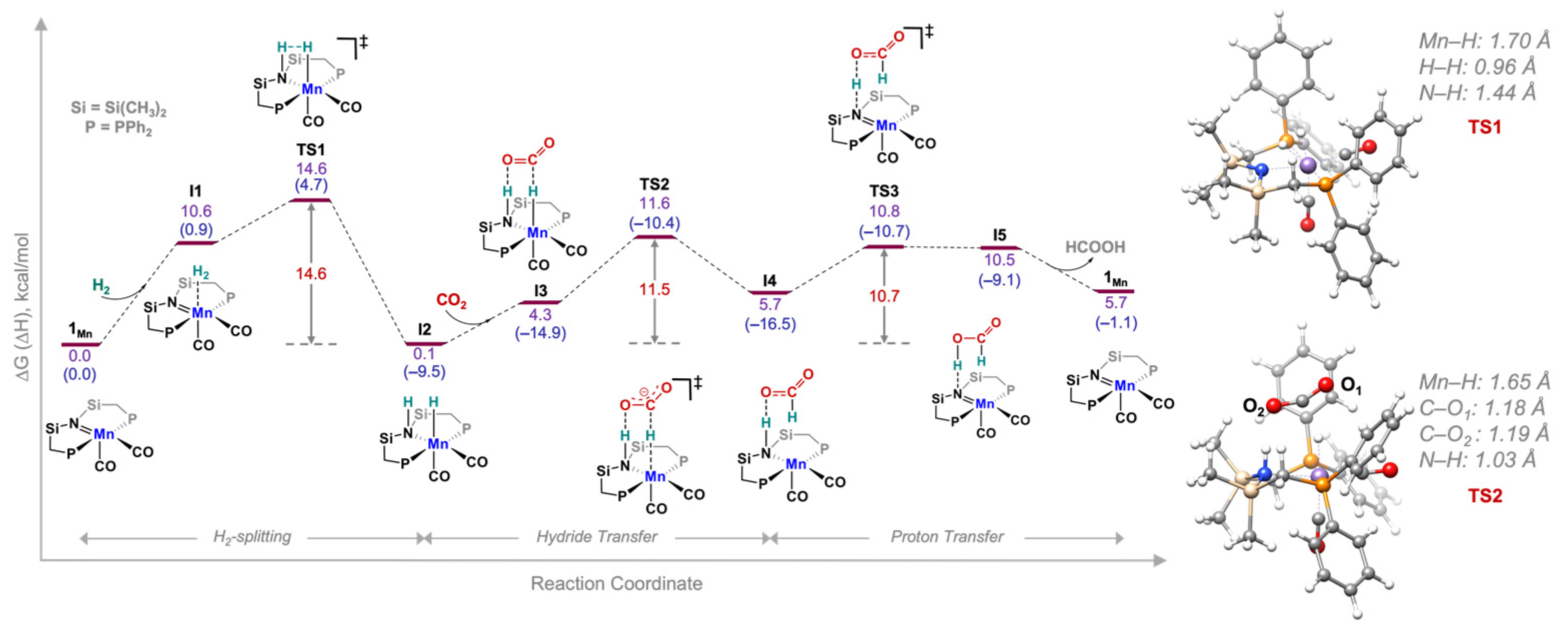 Catalysts 13 00592 g001 Catalysts 13 00592 g001