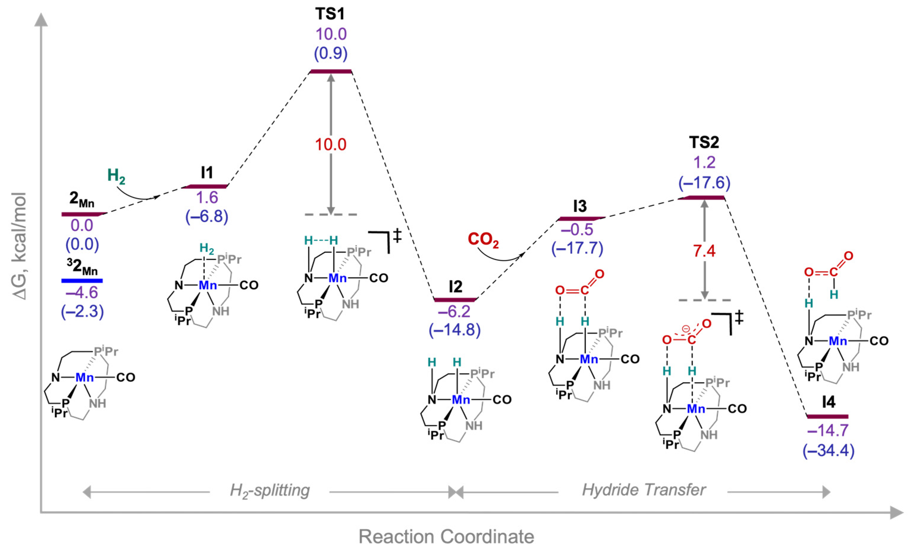 Catalysts 13 00592 g002 Catalysts 13 00592 g002