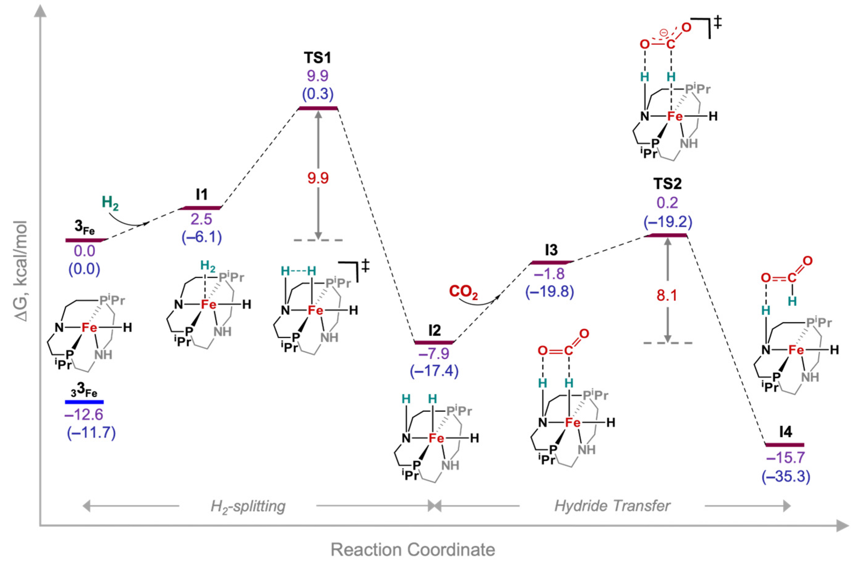 Catalysts 13 00592 g003 Catalysts 13 00592 g003