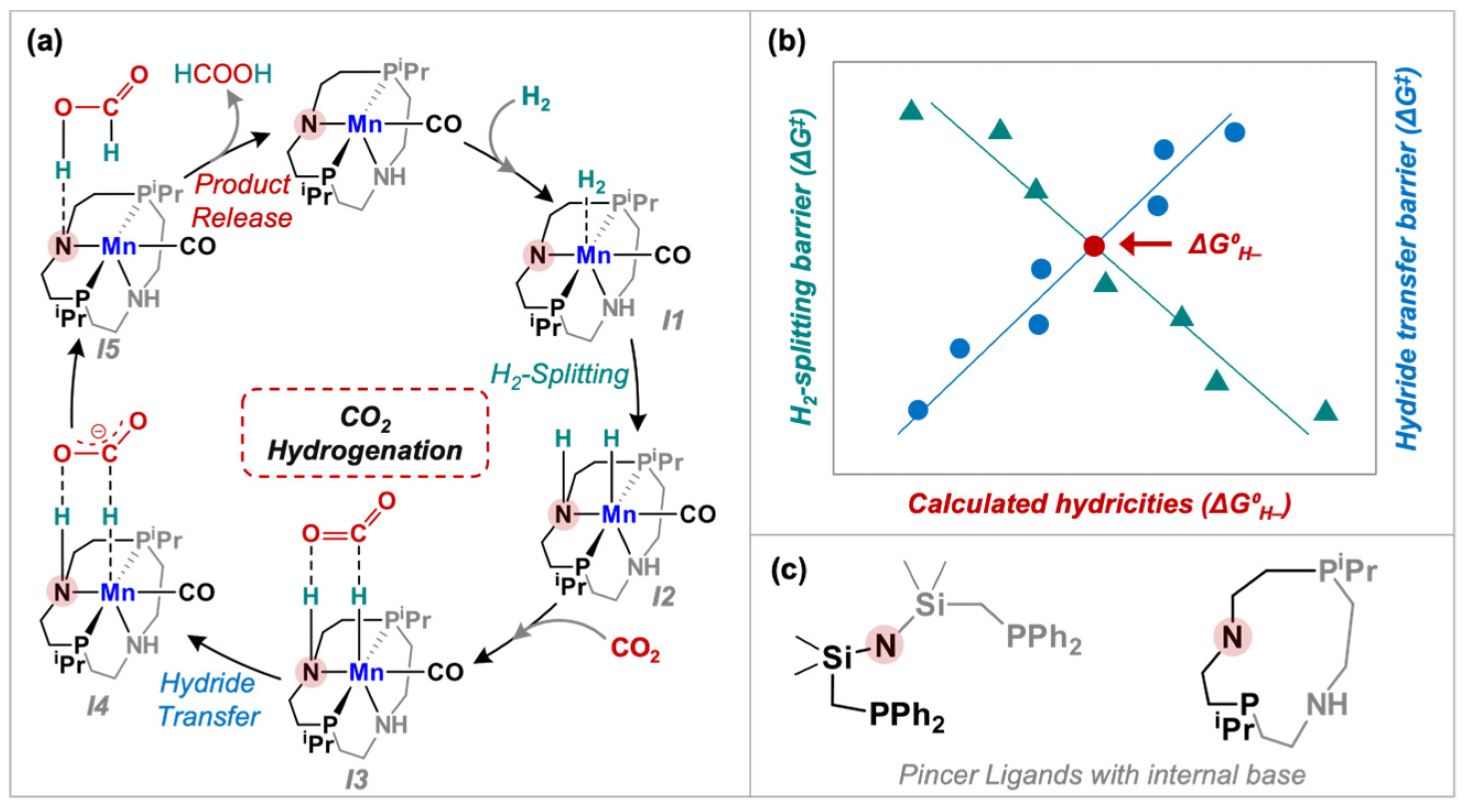 Catalysts 13 00592 sch001 Catalysts 13 00592 sch001