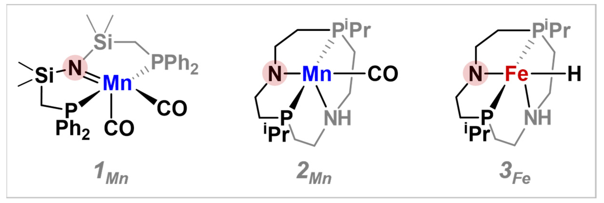 Catalysts 13 00592 sch002 Catalysts 13 00592 sch002