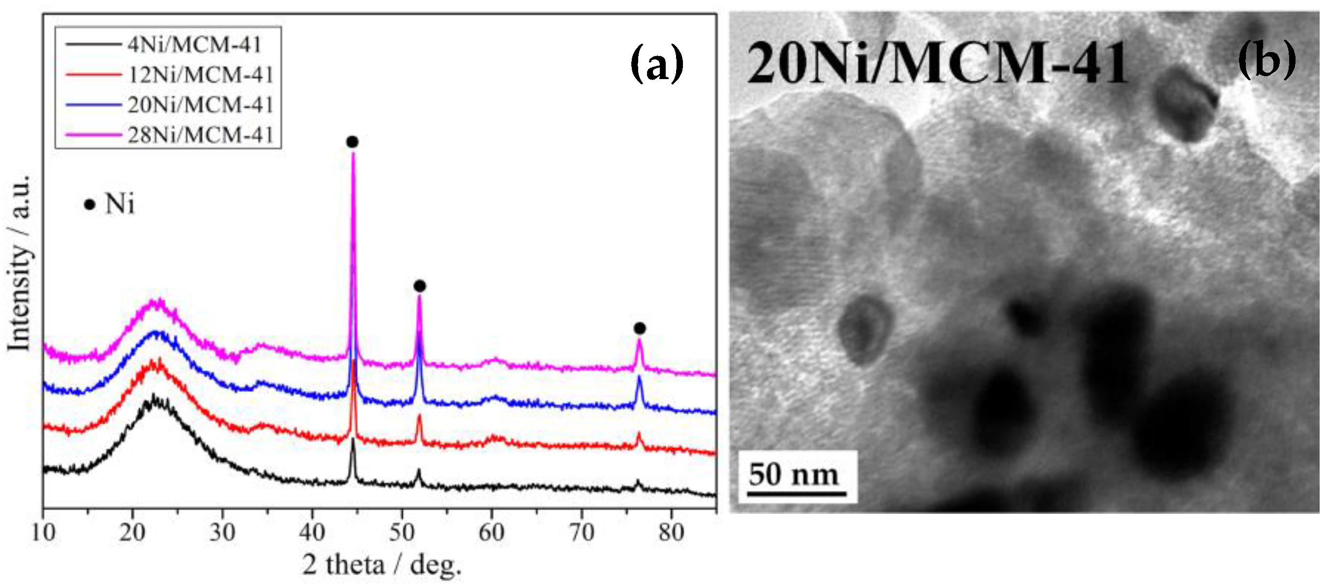 Catalysts 13 00598 g009