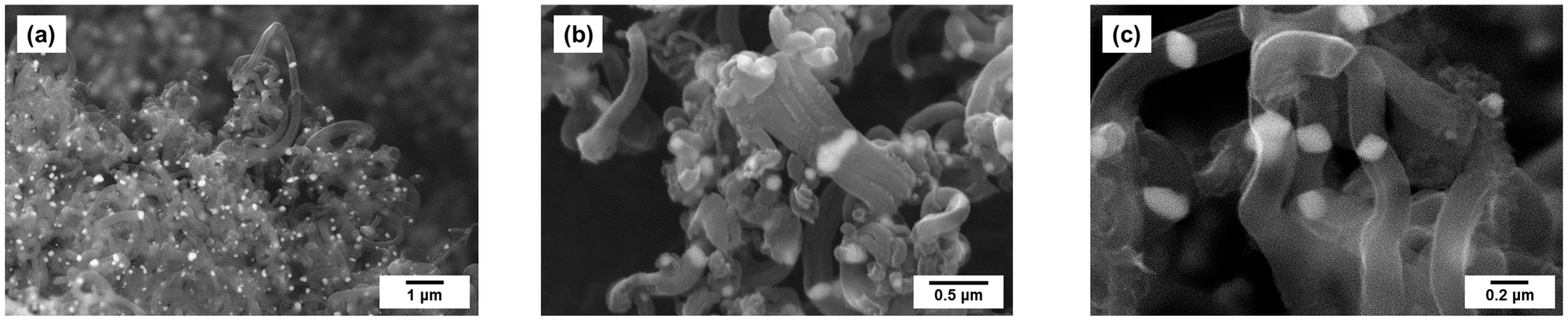 Catalysts 13 00599 g006 Catalysts 13 00599 g006