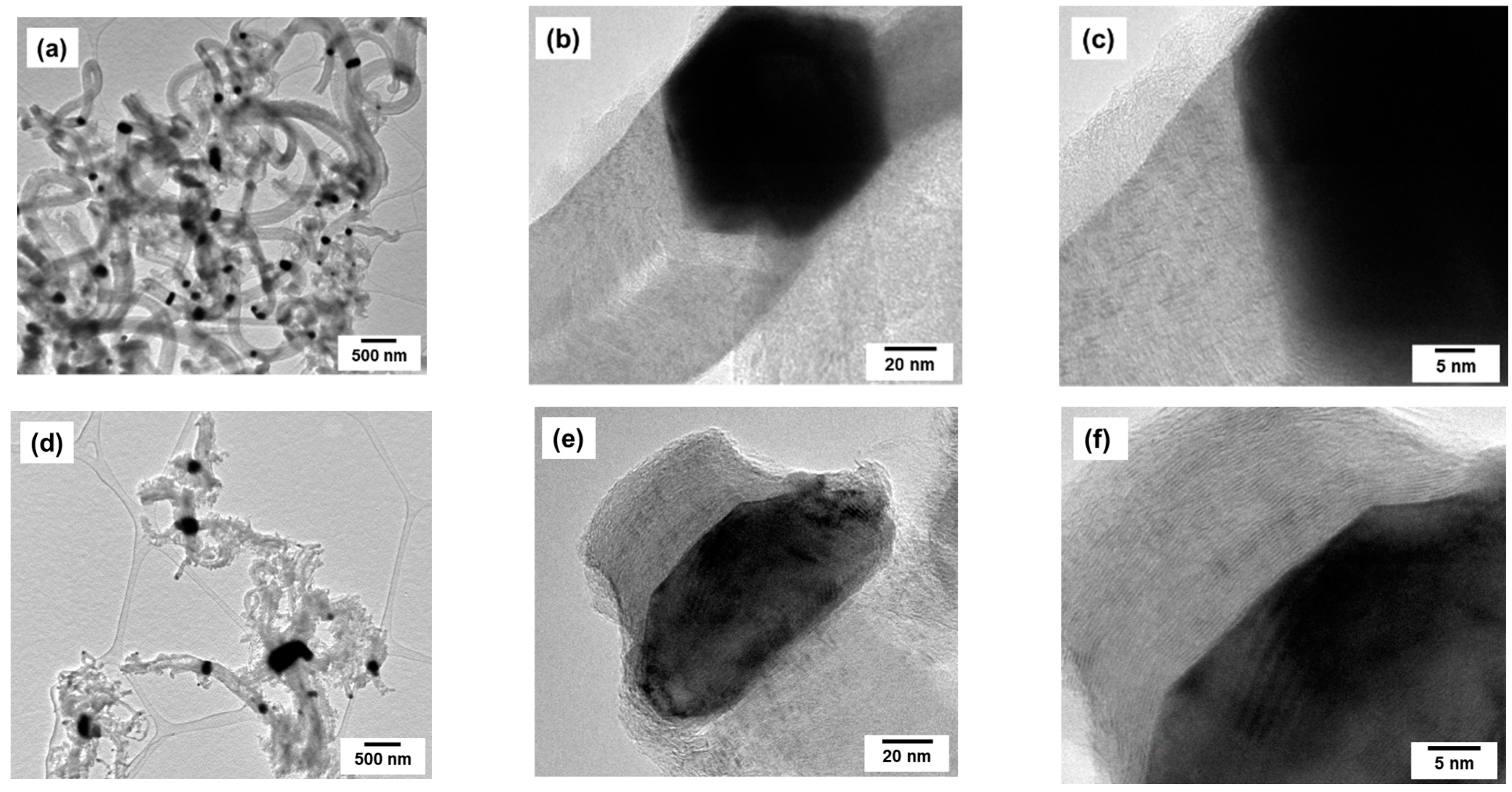 Catalysts 13 00599 g008 Catalysts 13 00599 g008