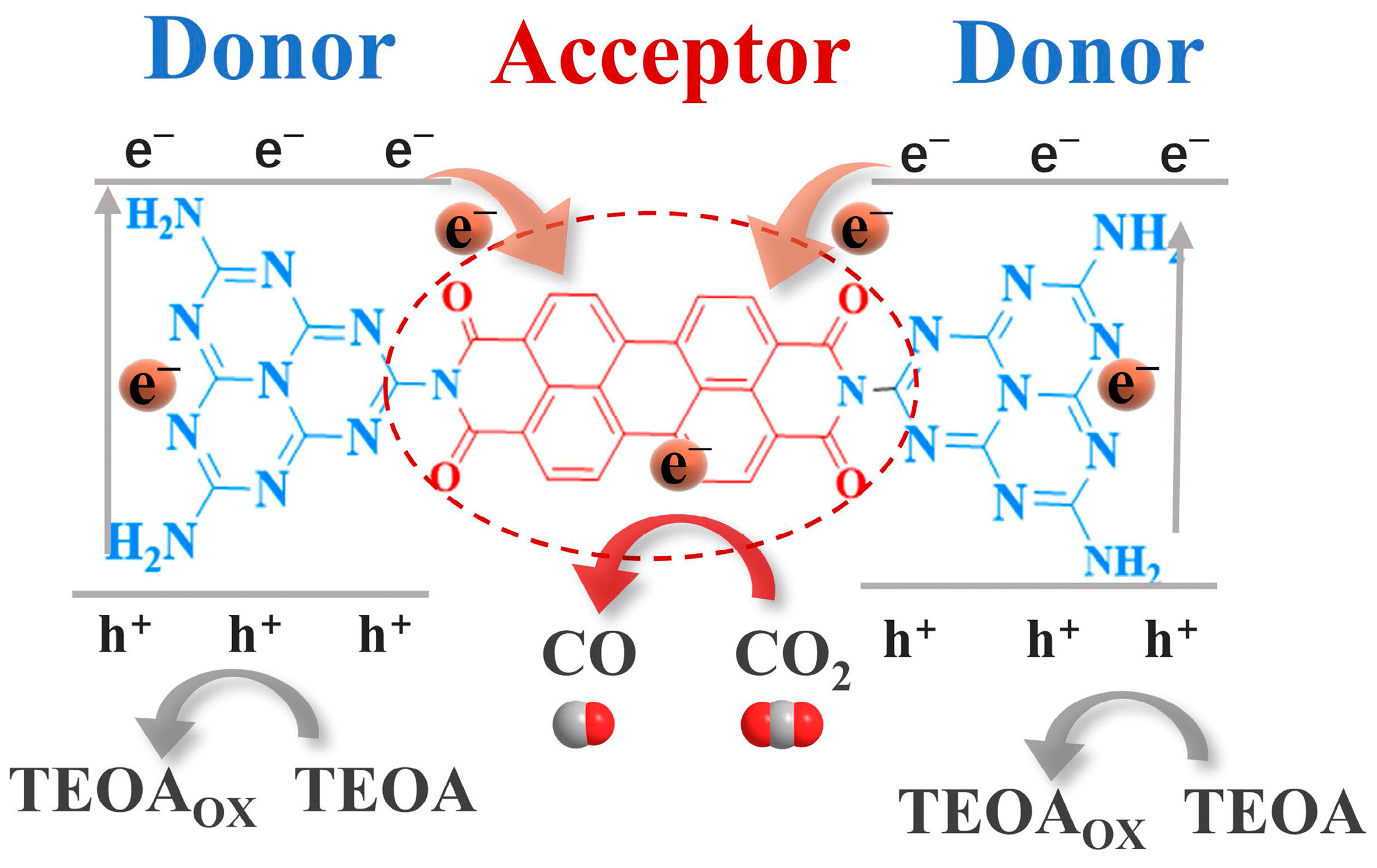 Catalysts 13 00600 g008