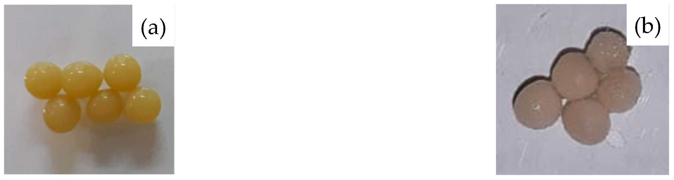 Catalysts 13 00601 g006