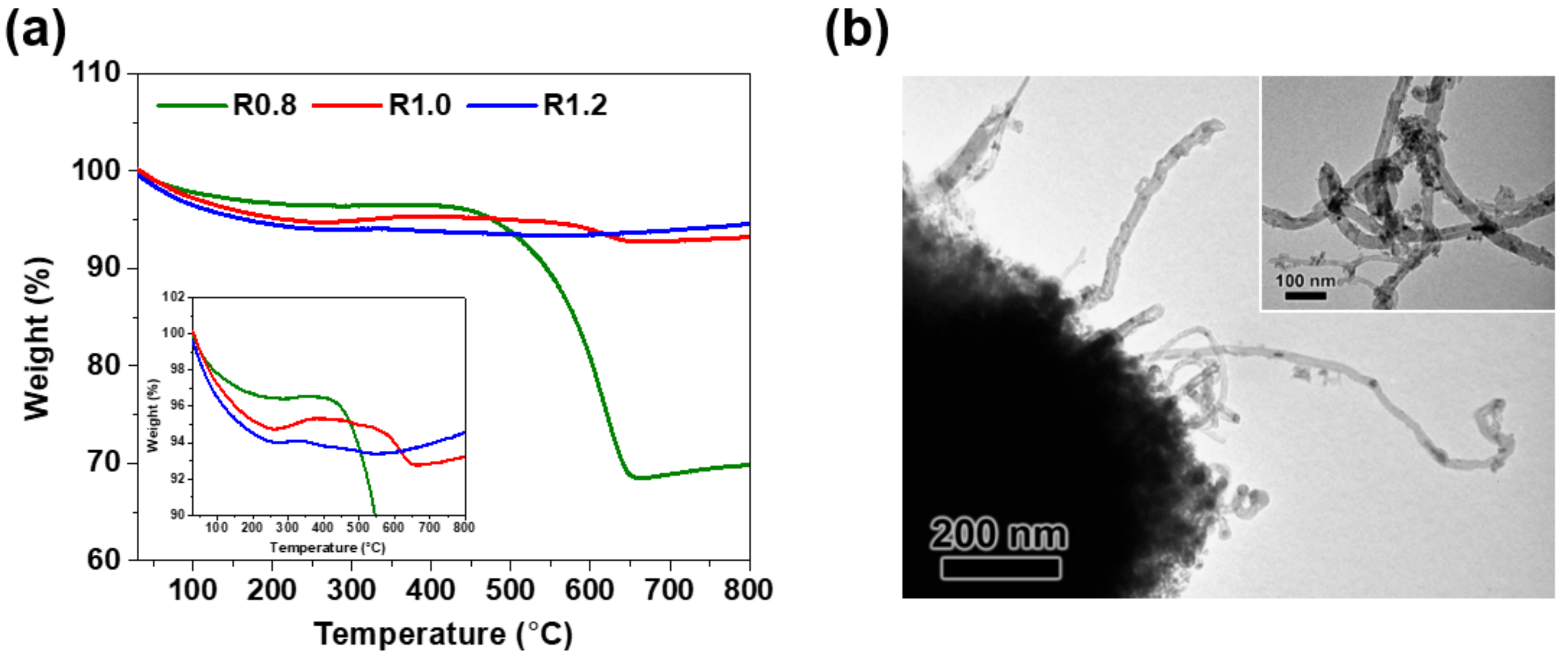 Catalysts 13 00602 g006