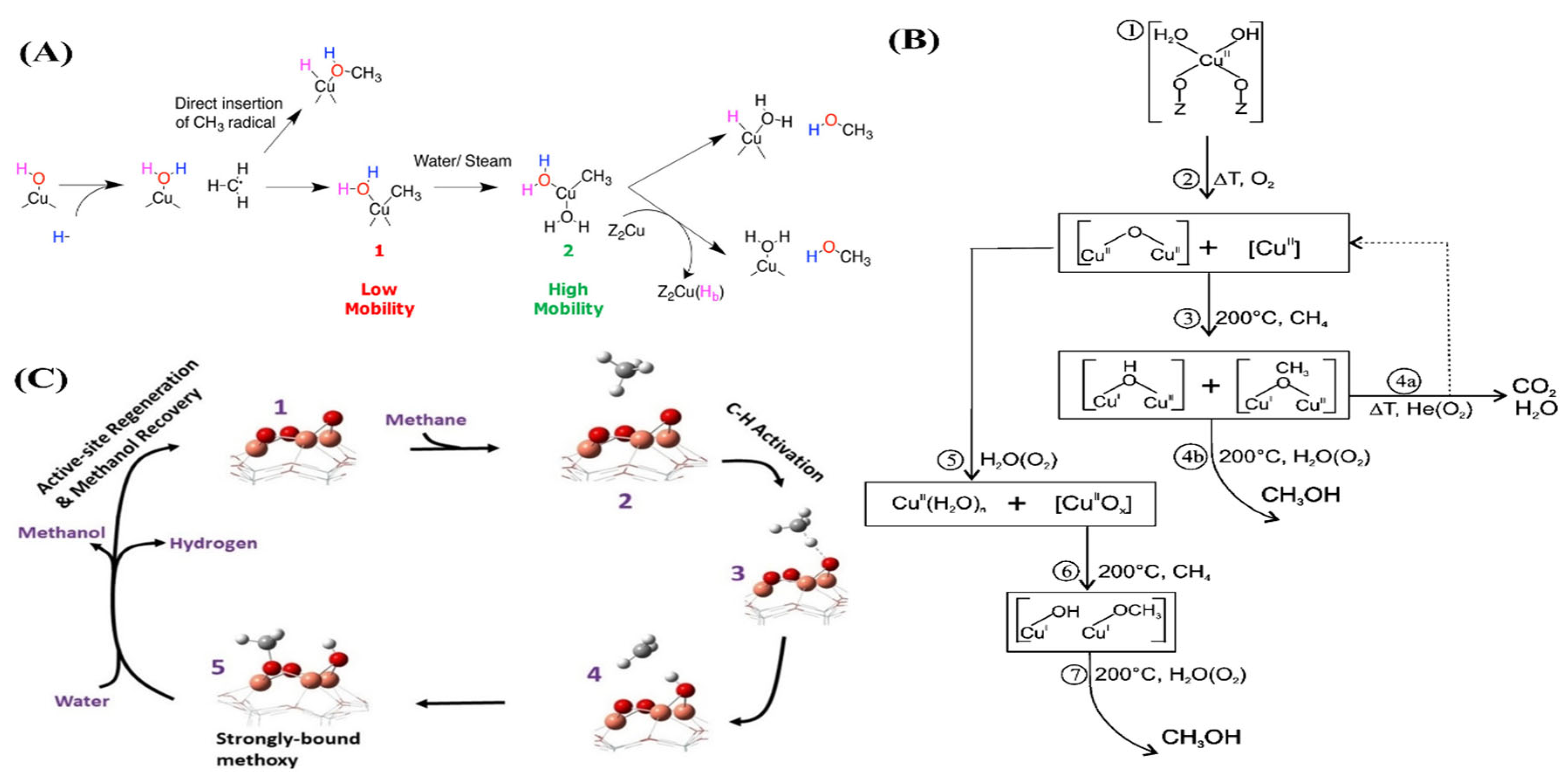 Catalysts 13 00604 g004 Catalysts 13 00604 g004