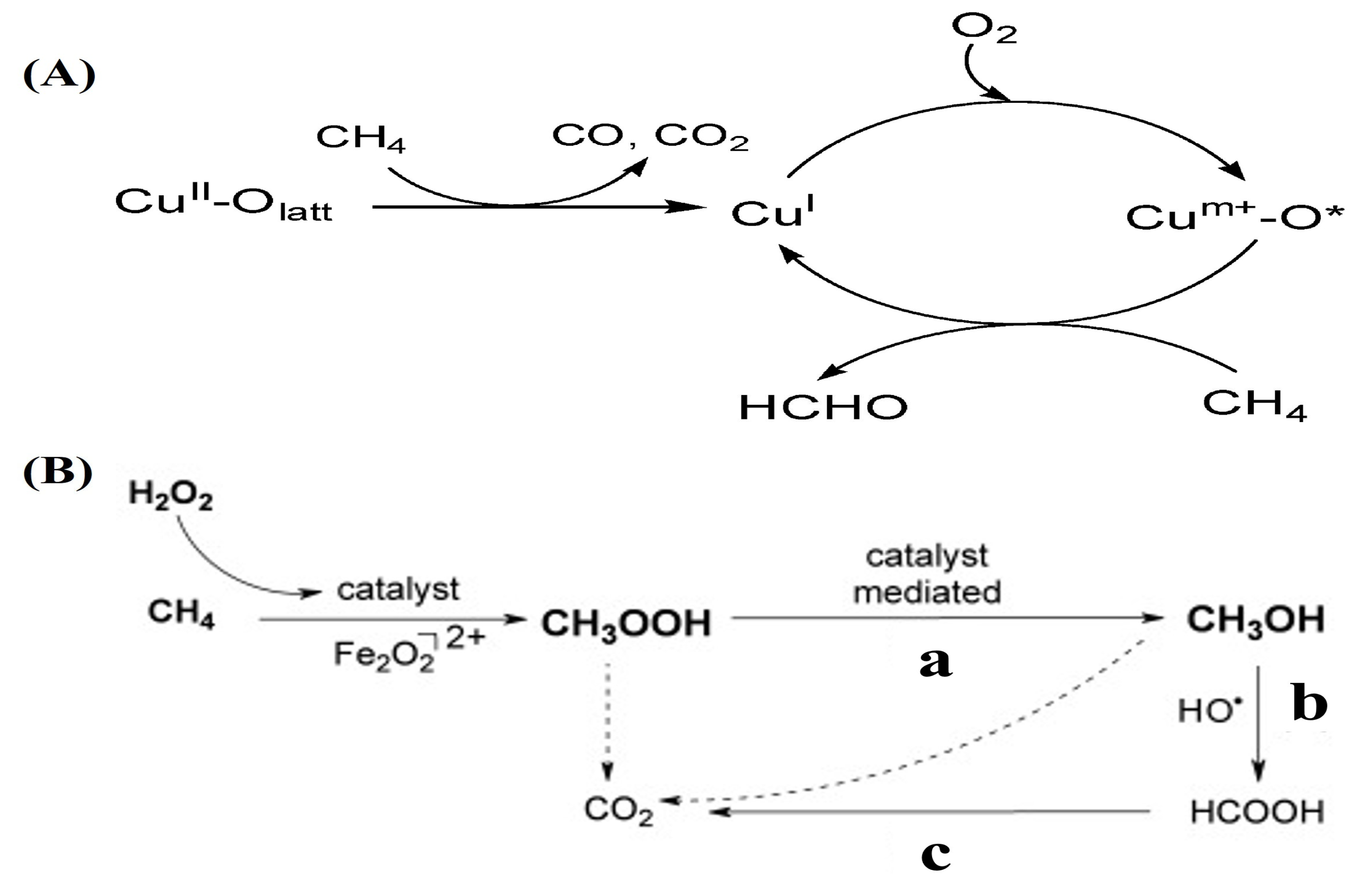 Catalysts 13 00604 g005 Catalysts 13 00604 g005