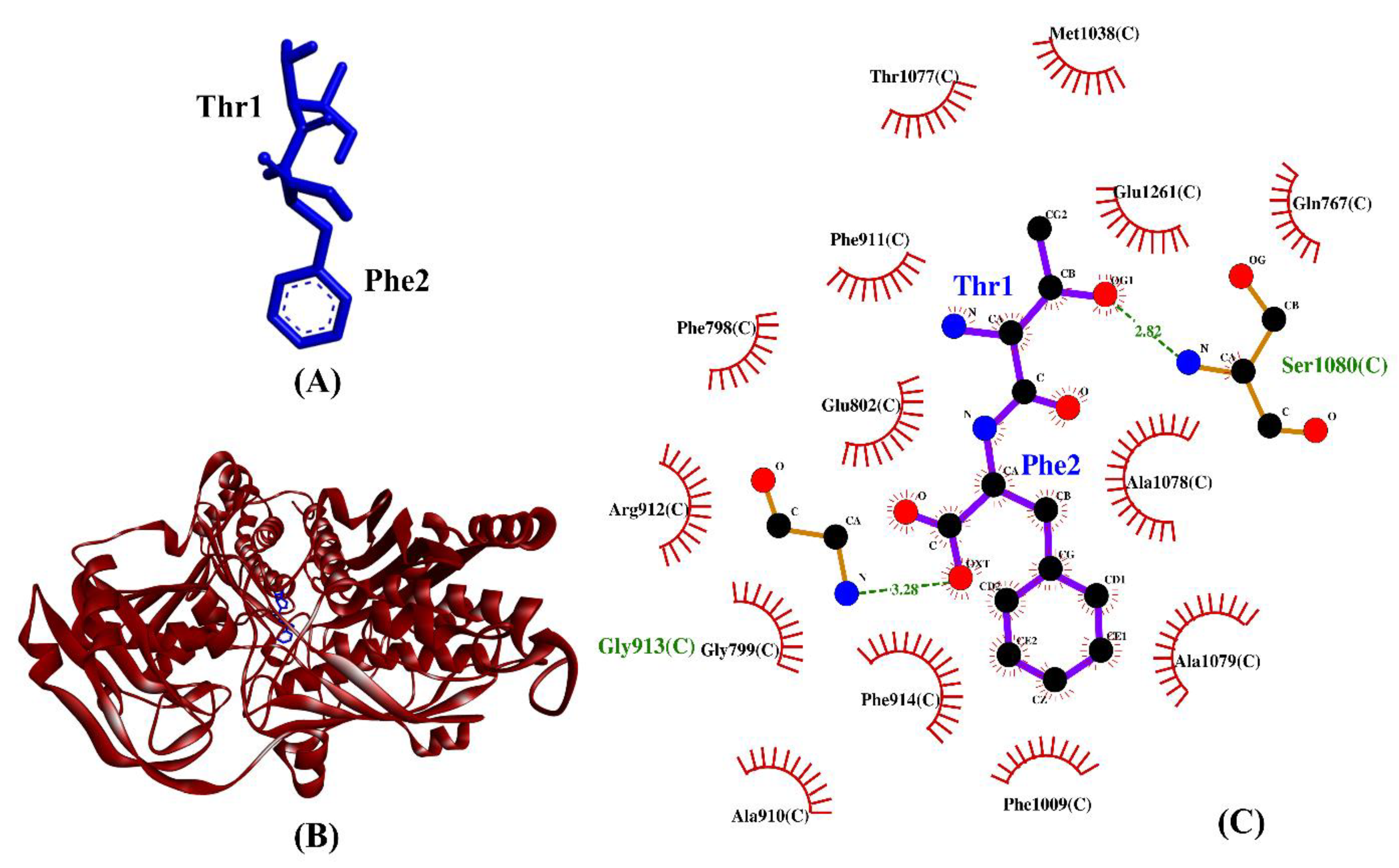 Catalysts 13 00605 g007 Catalysts 13 00605 g007