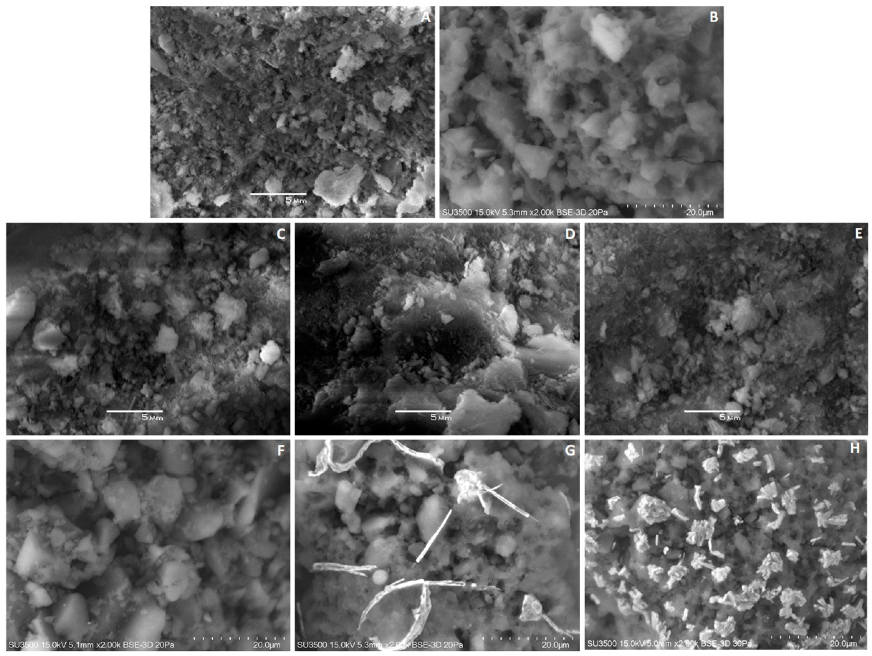 Catalysts 13 00610 g002 Catalysts 13 00610 g002