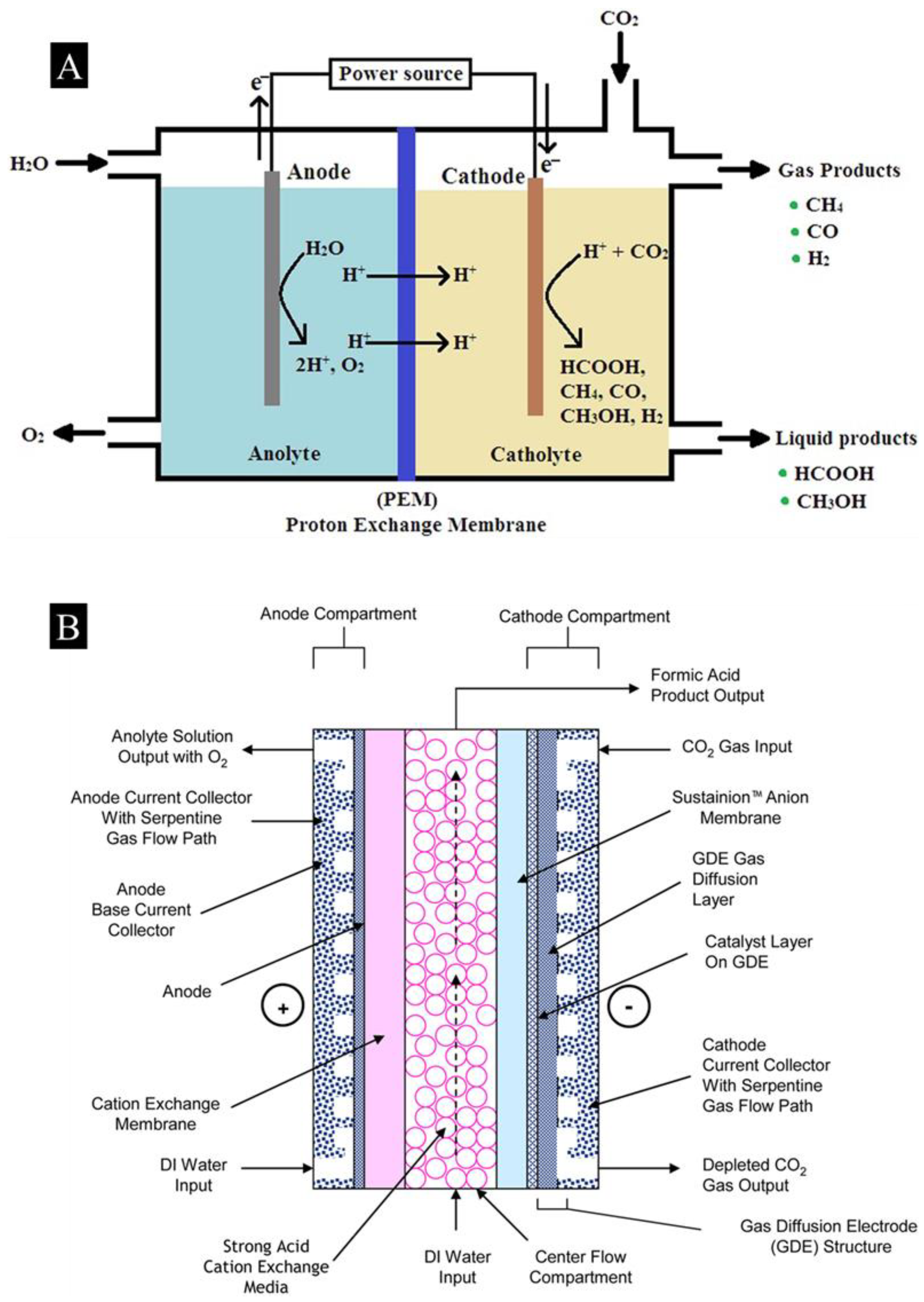 Catalysts 13 00611 g001 Catalysts 13 00611 g001