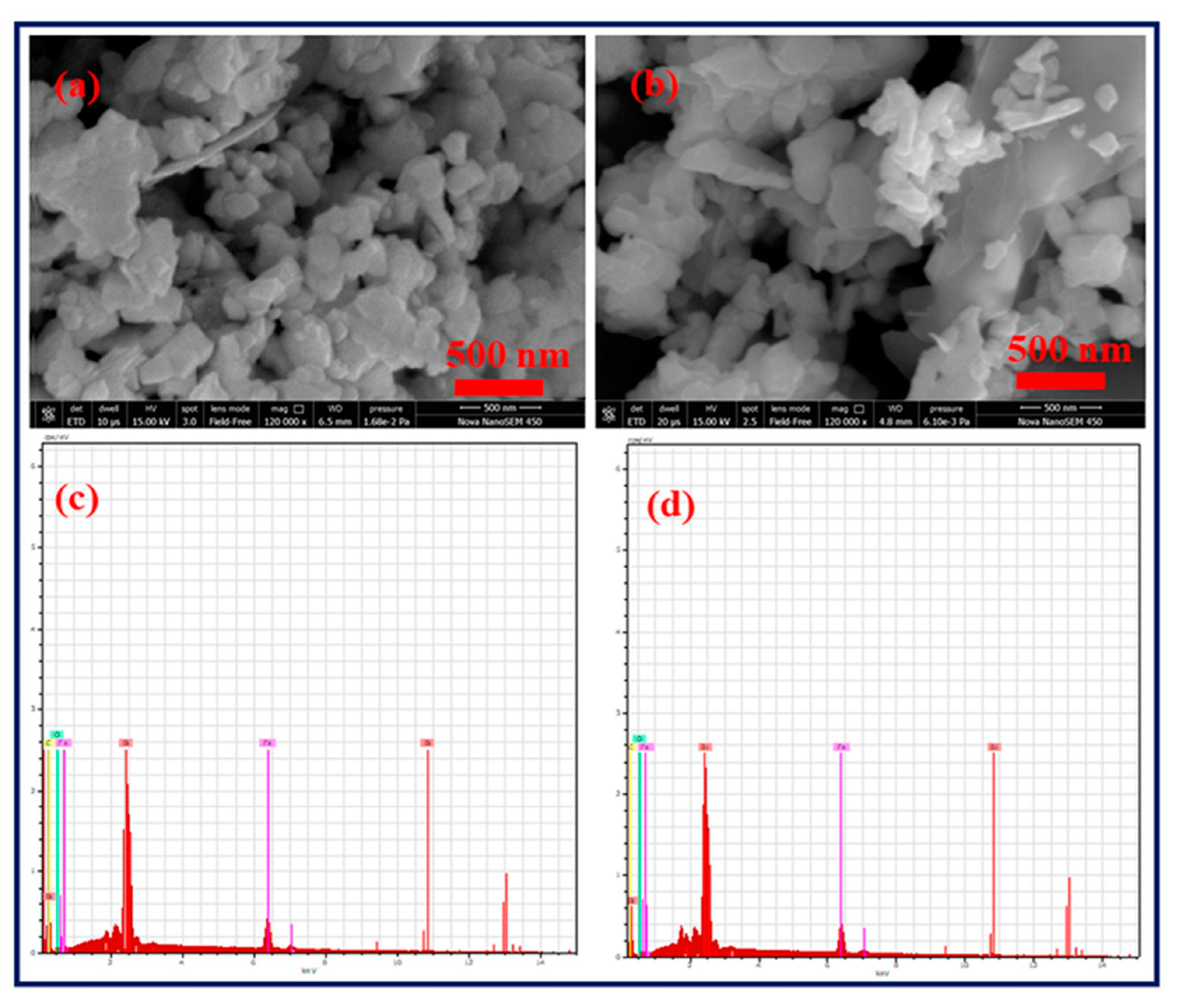 Catalysts 13 00618 g002