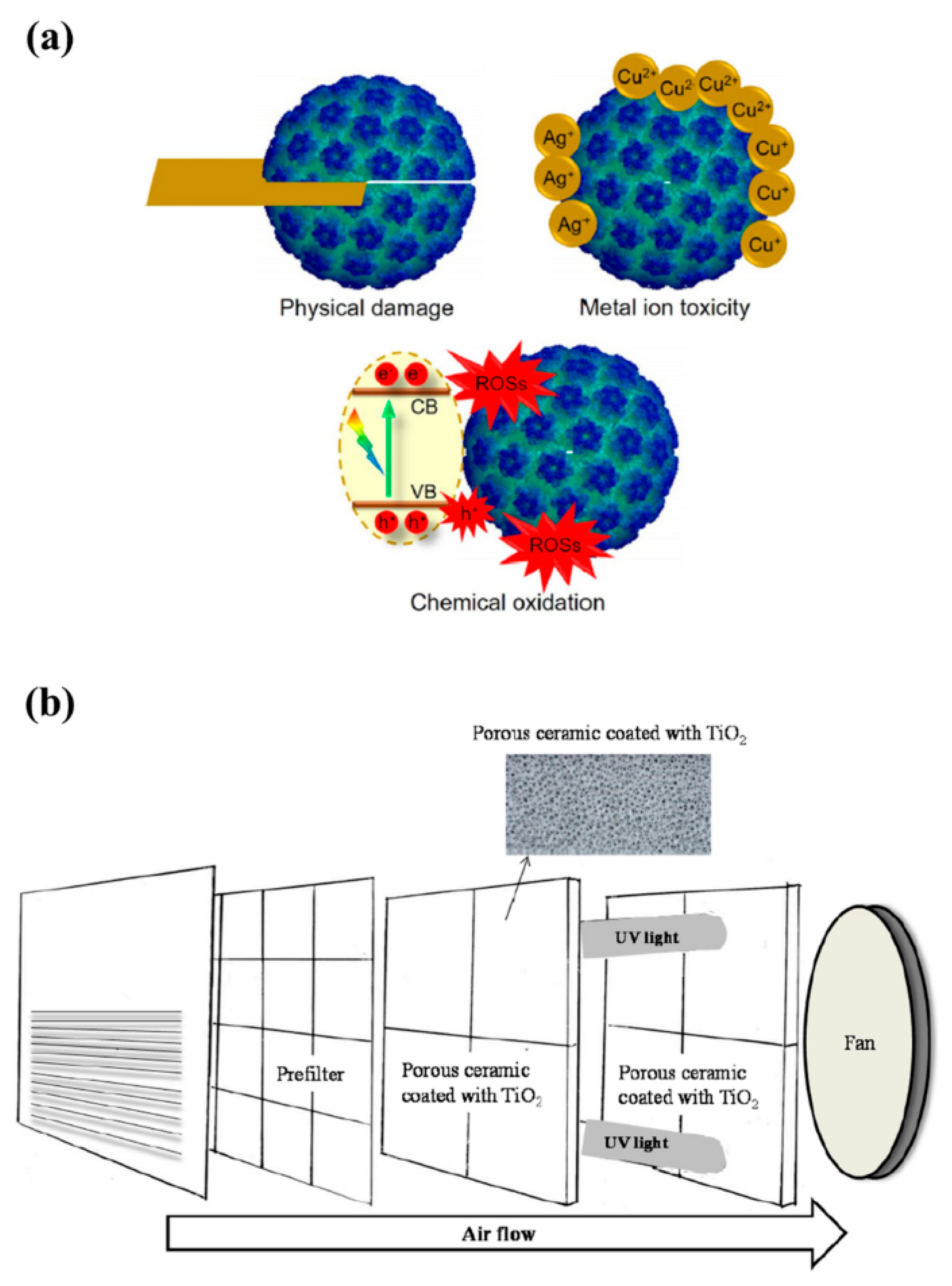 Catalysts 13 00620 g002 Catalysts 13 00620 g002